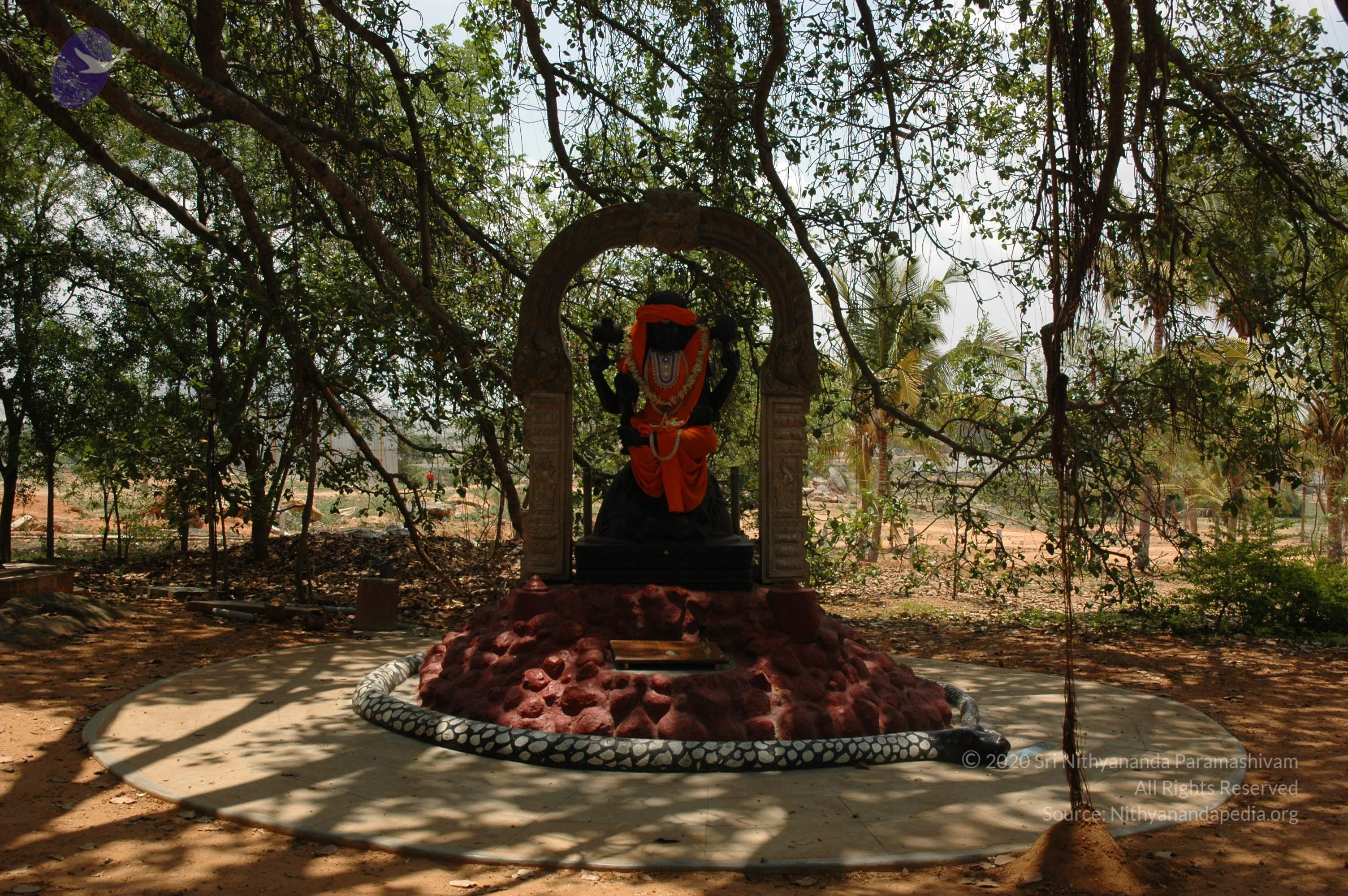 20070504_Photo_1072_DSC_4904_CMP_WM