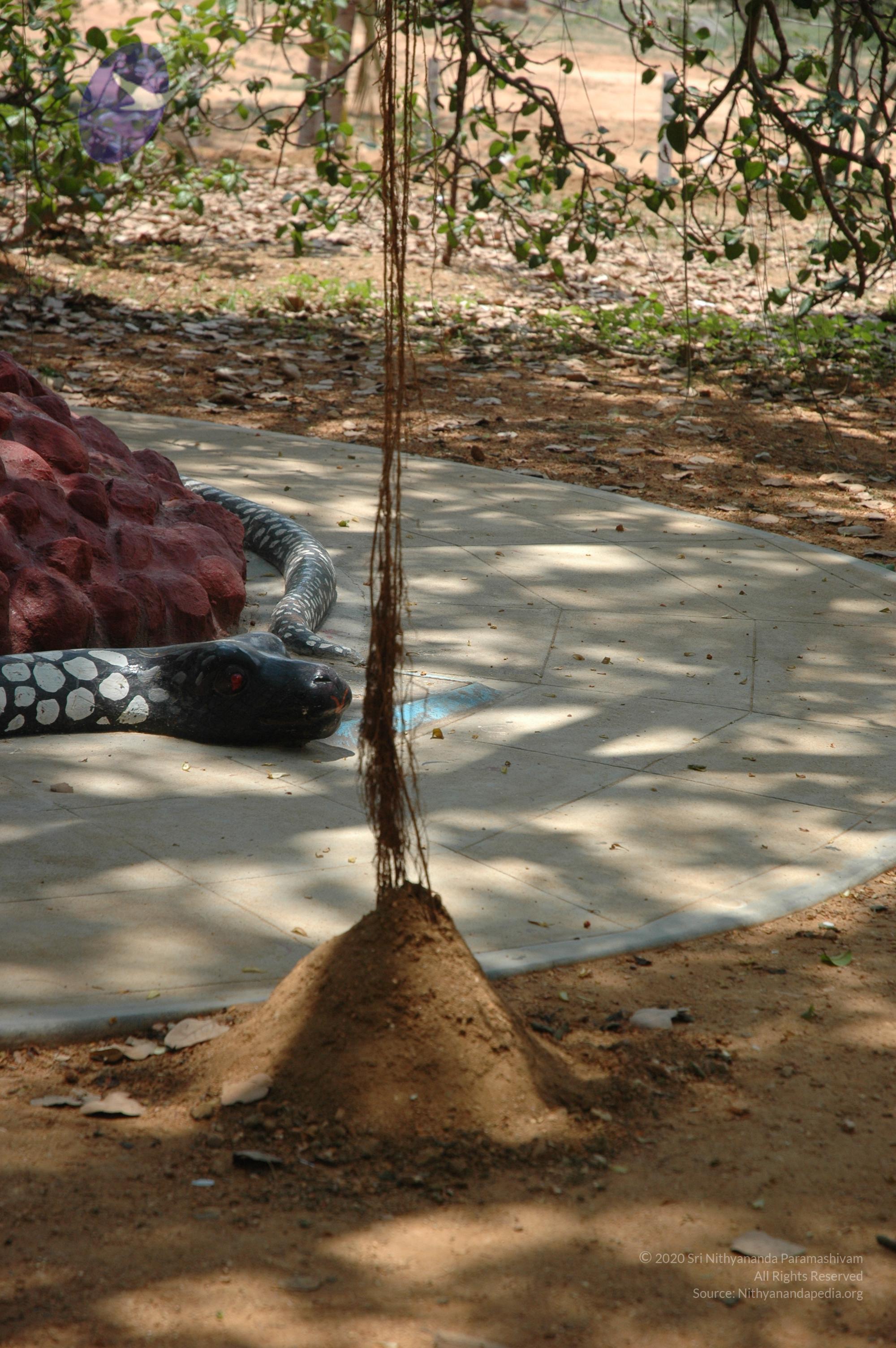 20070504_Photo_1076_DSC_4918_CMP_WM