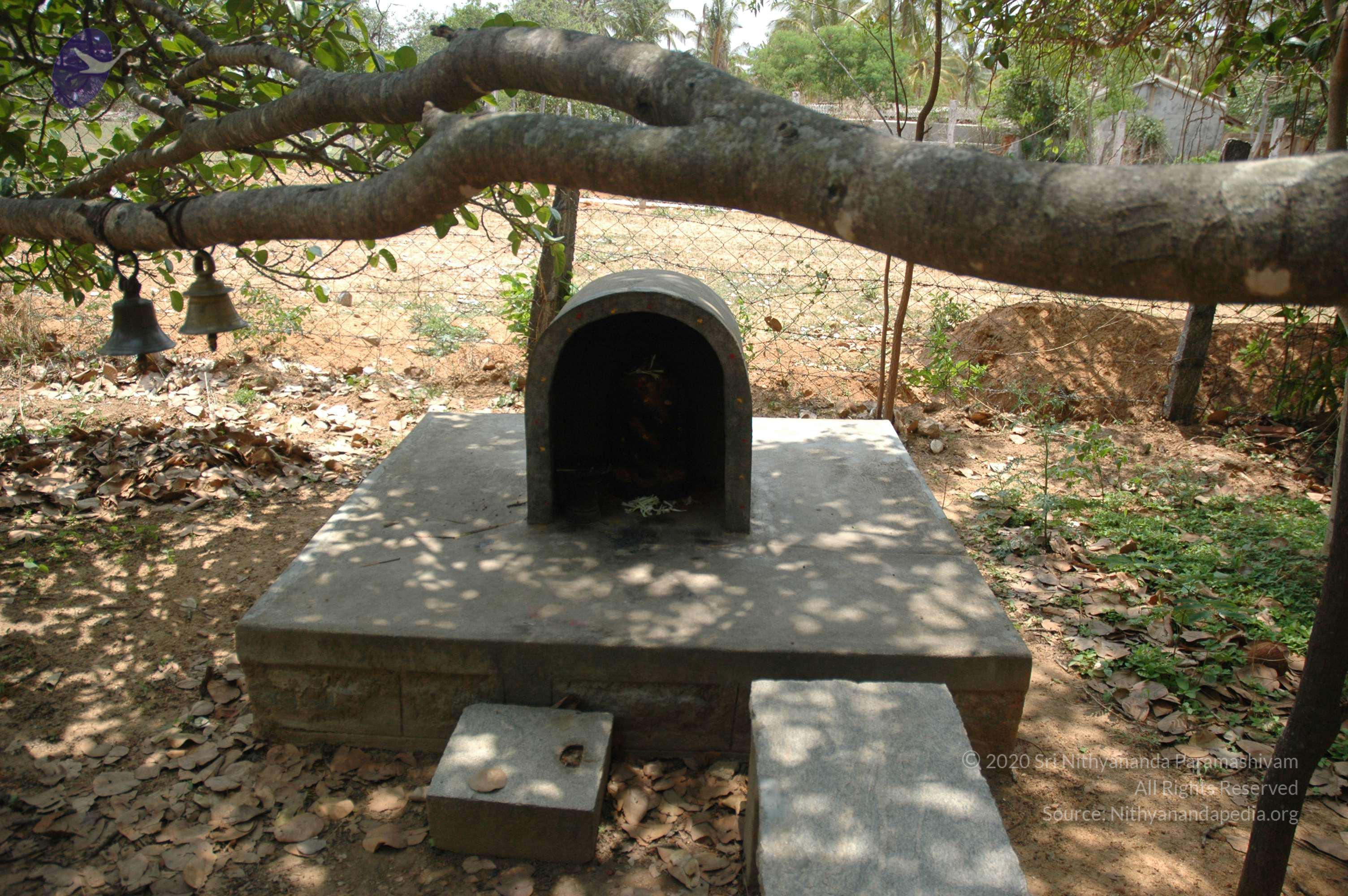 20070504_Photo_1086_DSC_5036_CMP_WM