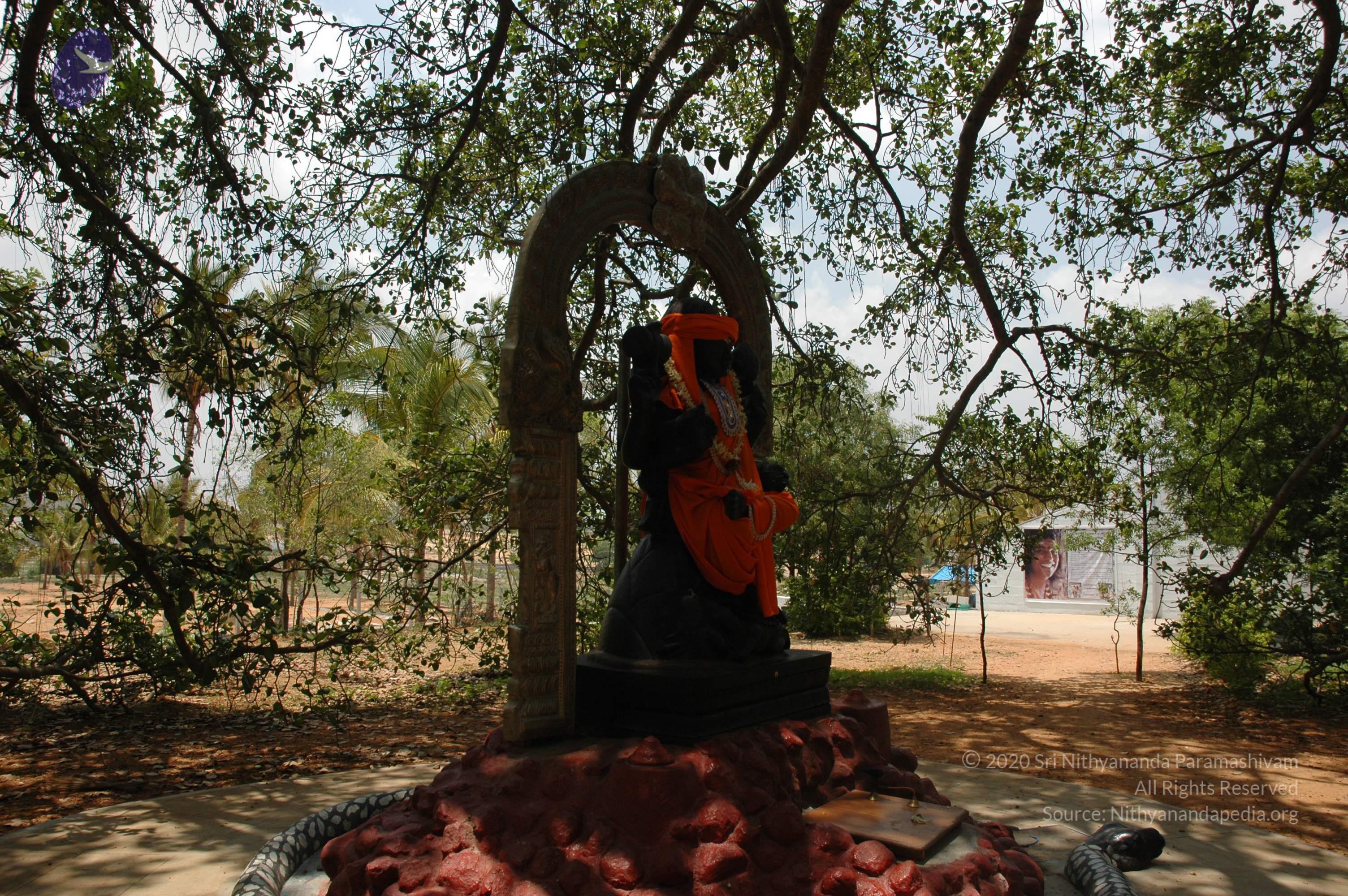 20070504_Photo_1087_DSC_4939_CMP_WM