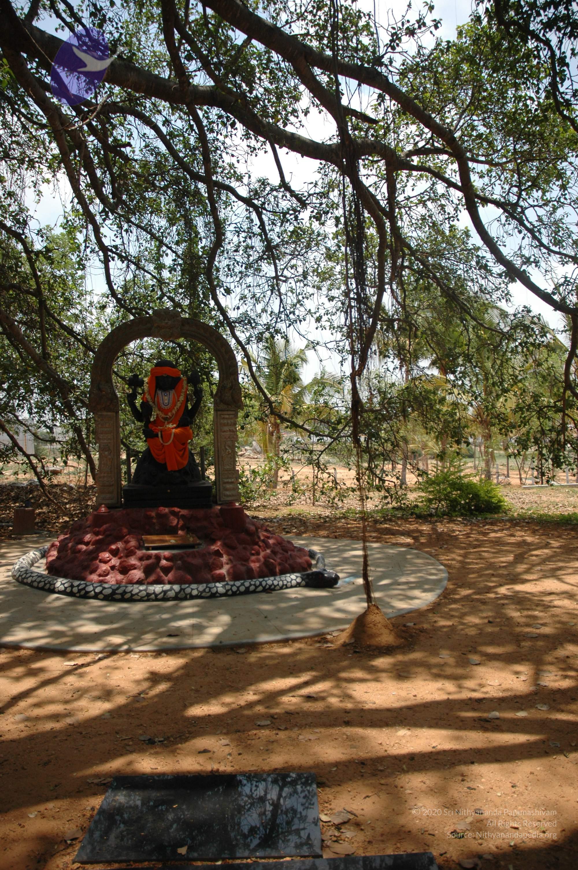 20070504_Photo_1090_DSC_4896_CMP_WM