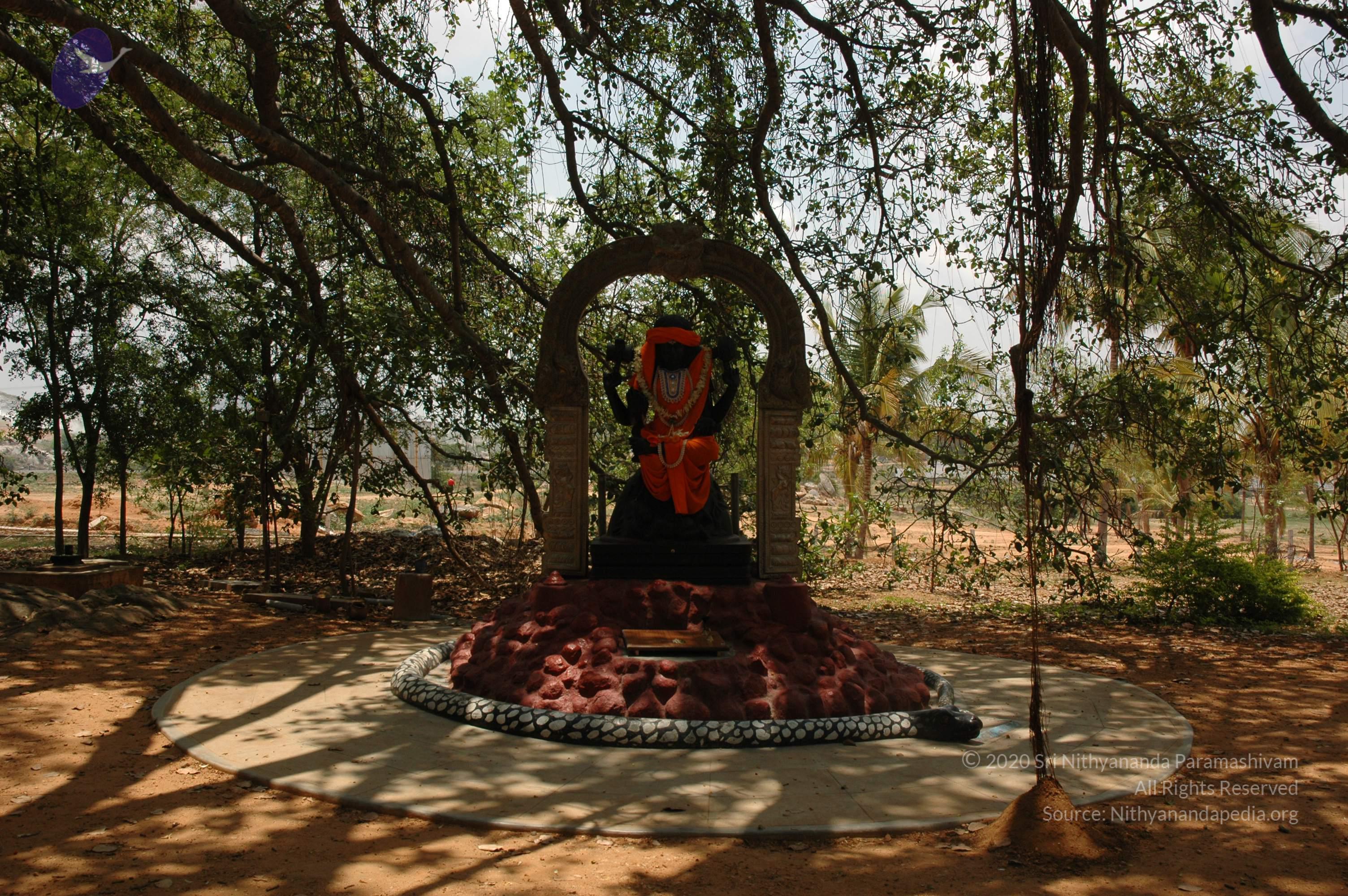 20070504_Photo_1092_DSC_4903_CMP_WM