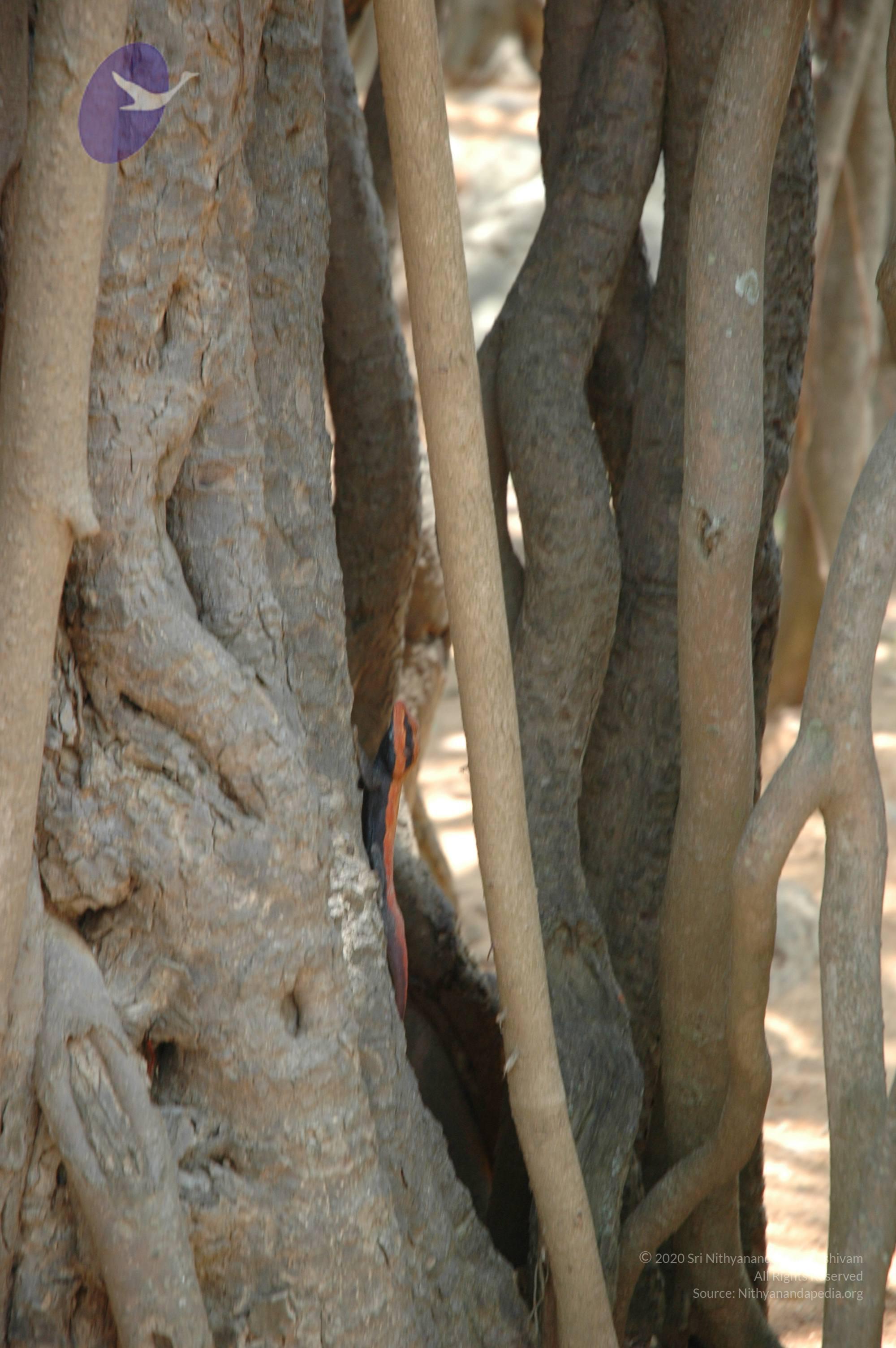 20070504_Photo_1095_DSC_4978_CMP_WM