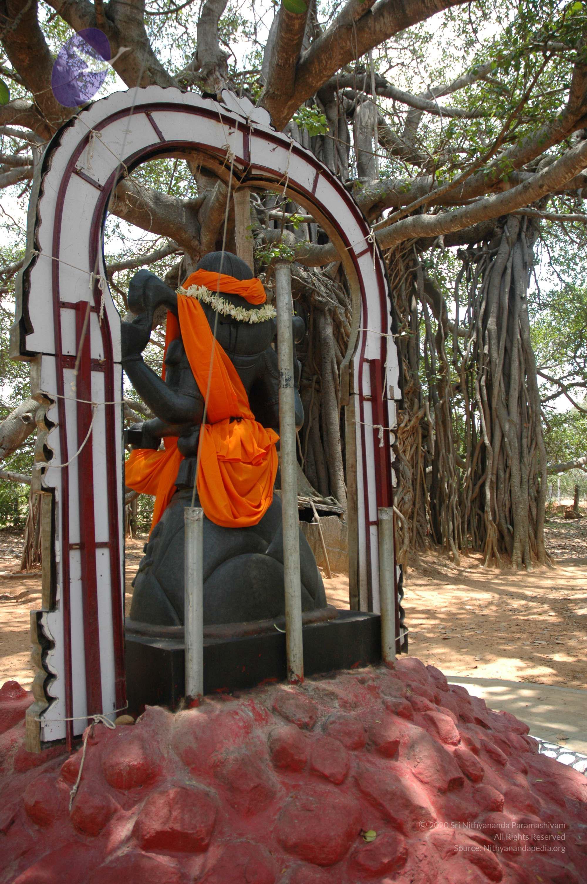 20070504_Photo_1096_DSC_4953_CMP_WM