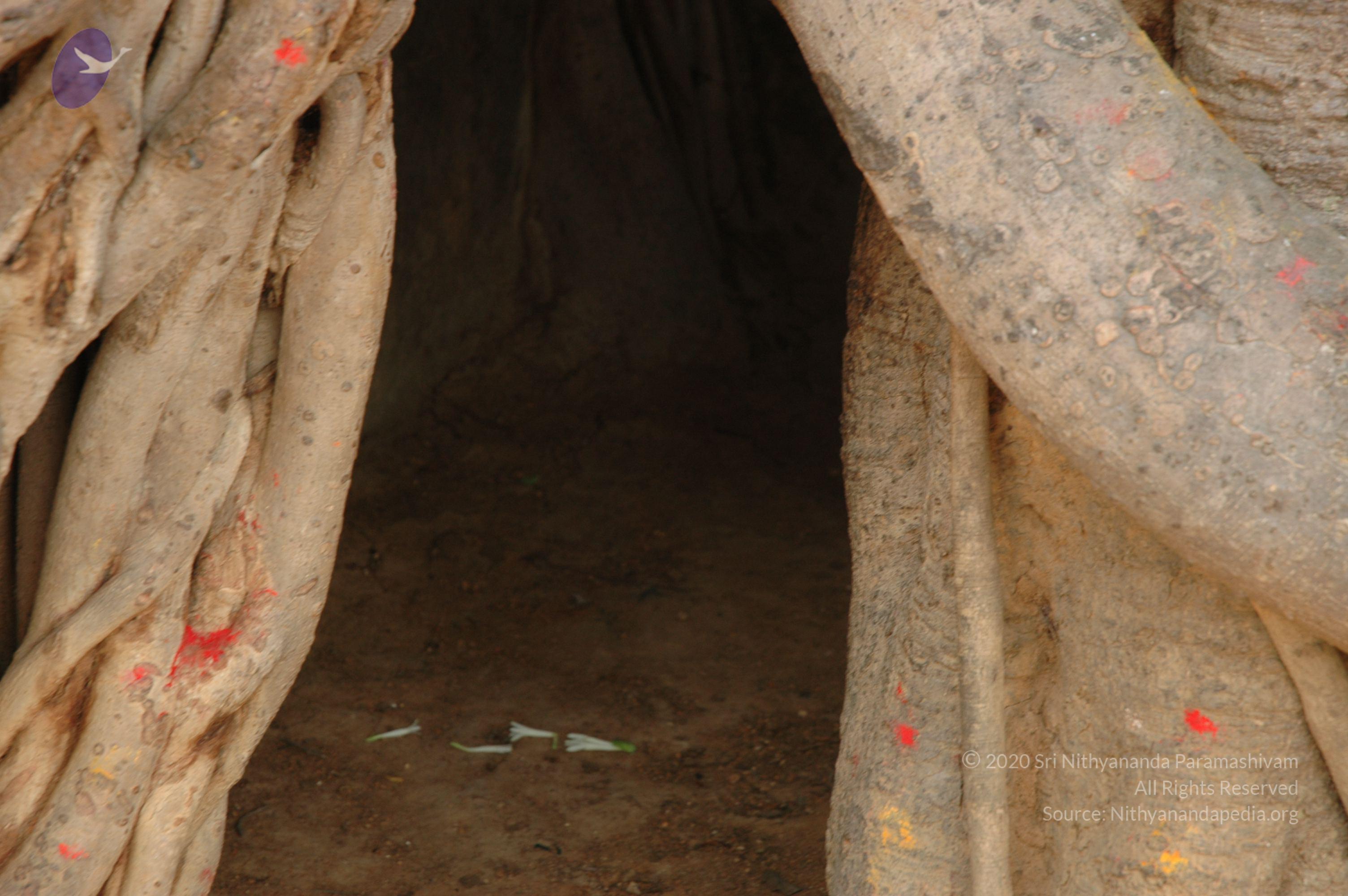 20070504_Photo_1101_DSC_5018_CMP_WM