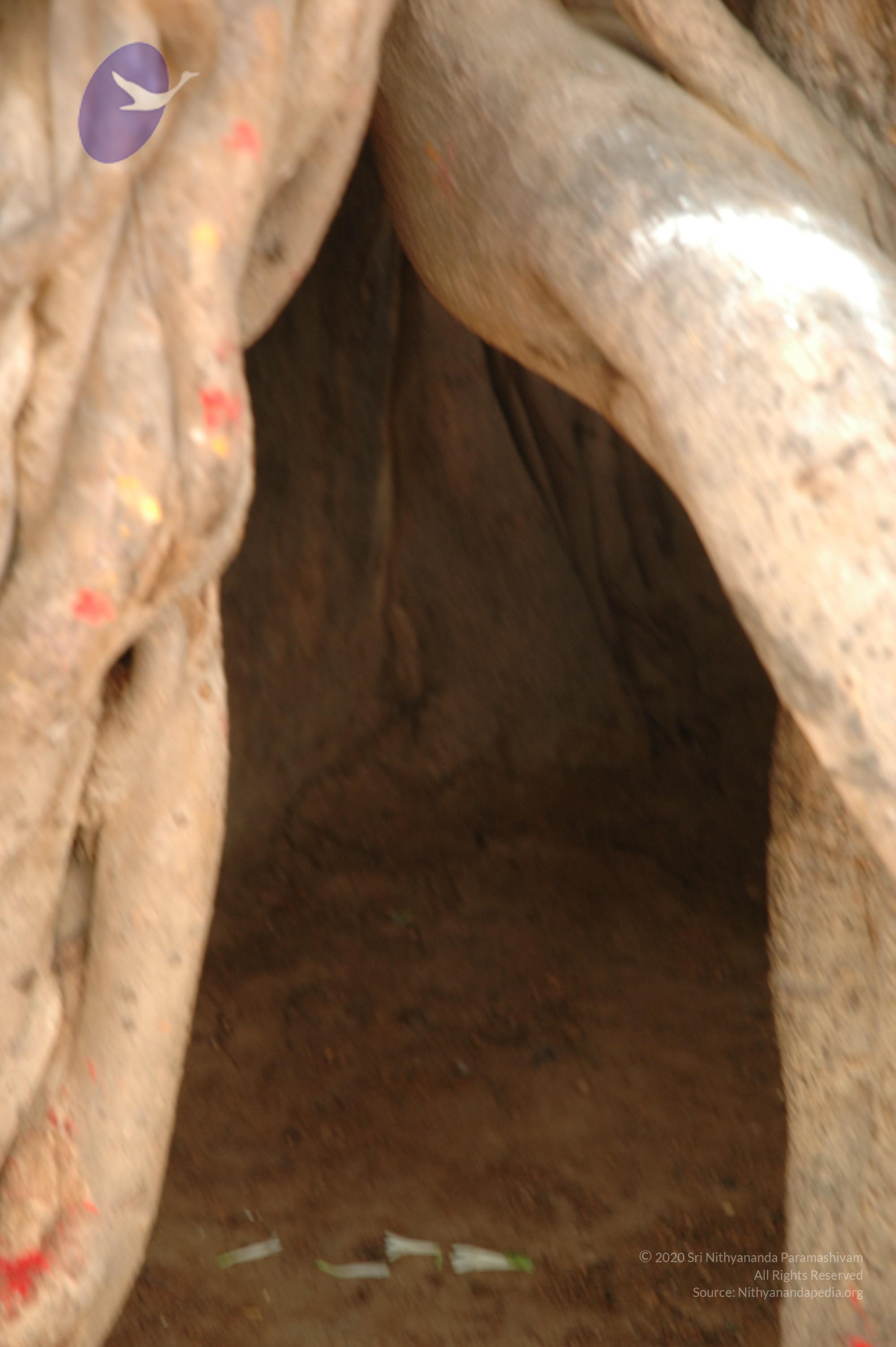 20070504_Photo_1102_DSC_4996_CMP_WM