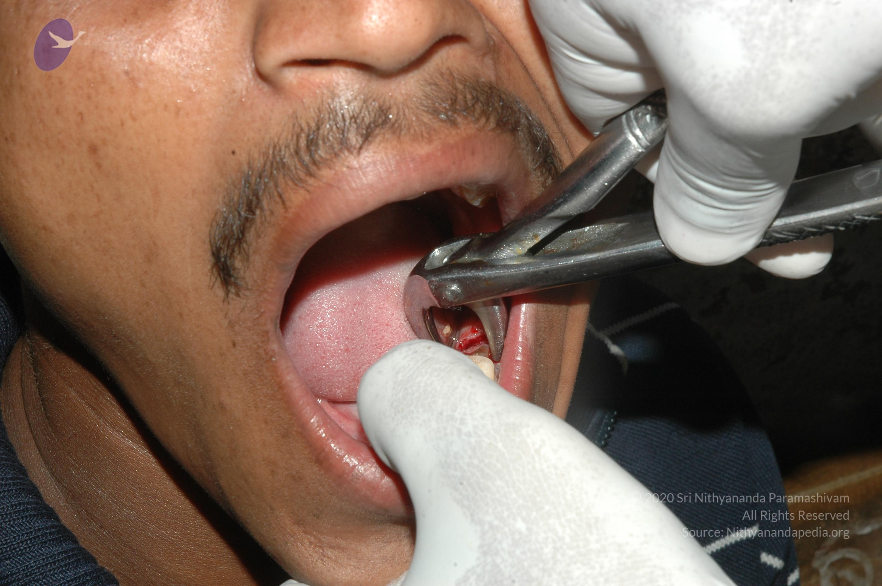 20070504_Photo_1011_DSC_5245_CMP_WM