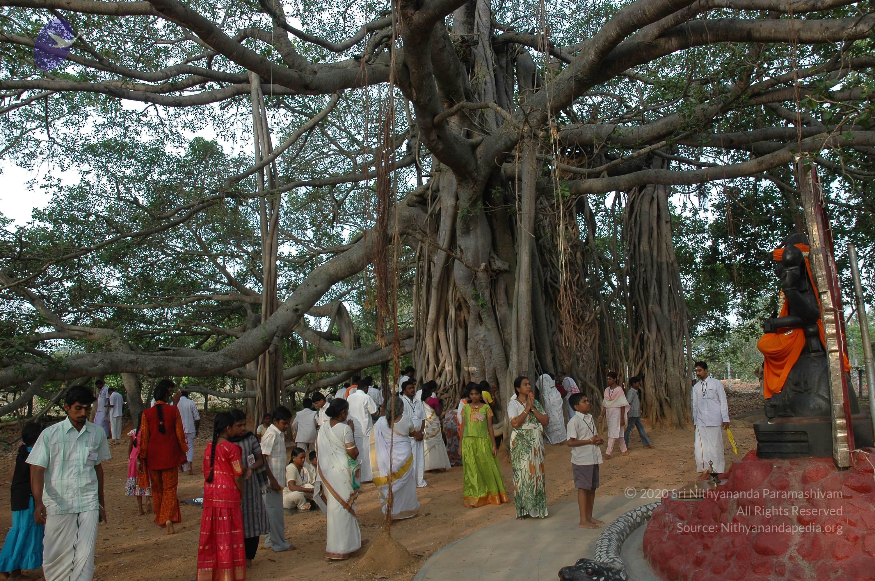 20070504_Photo_1016_DSC_5174_CMP_WM