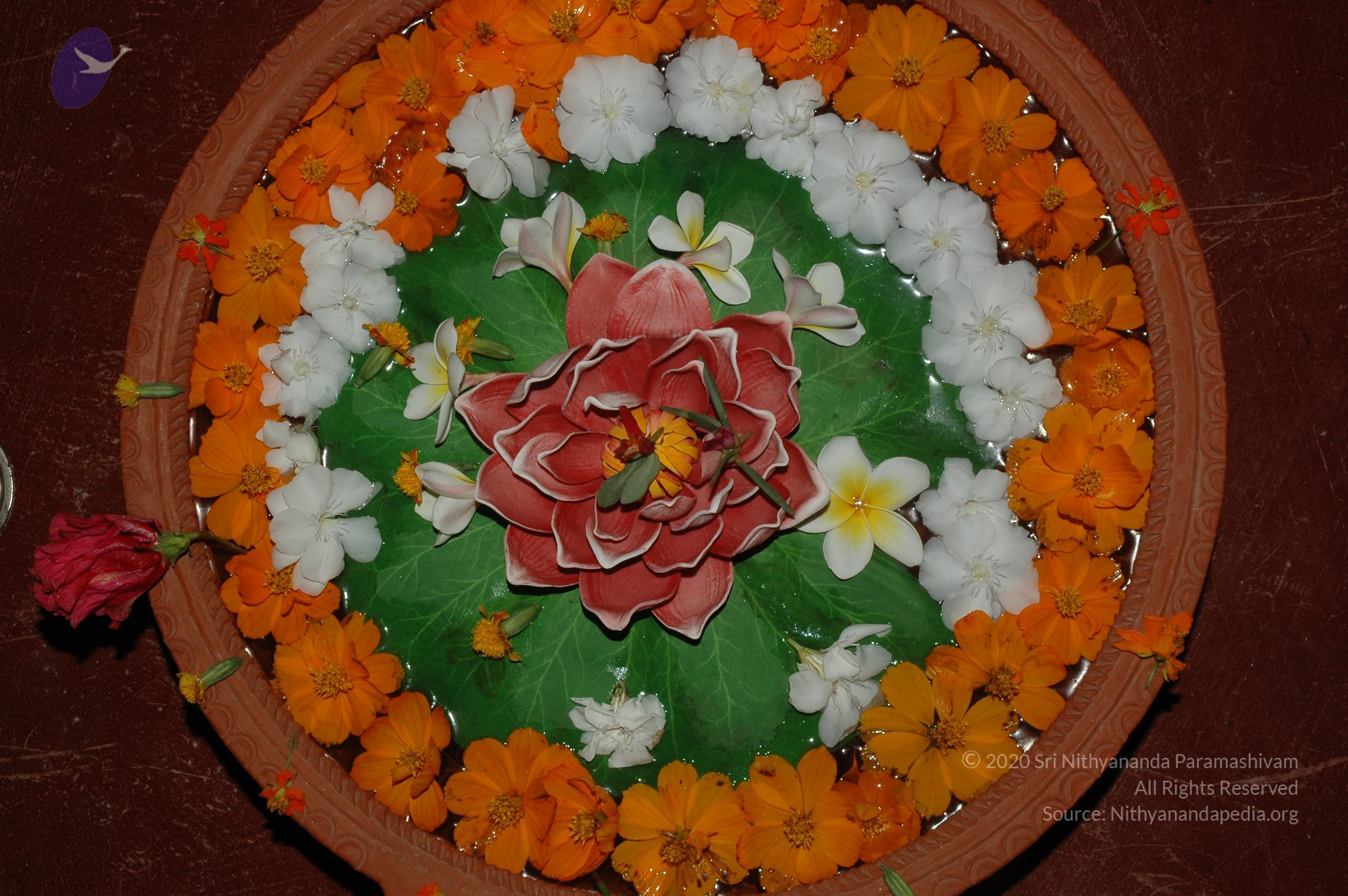 20070504_Photo_1097_DSC_5648_CMP_WM