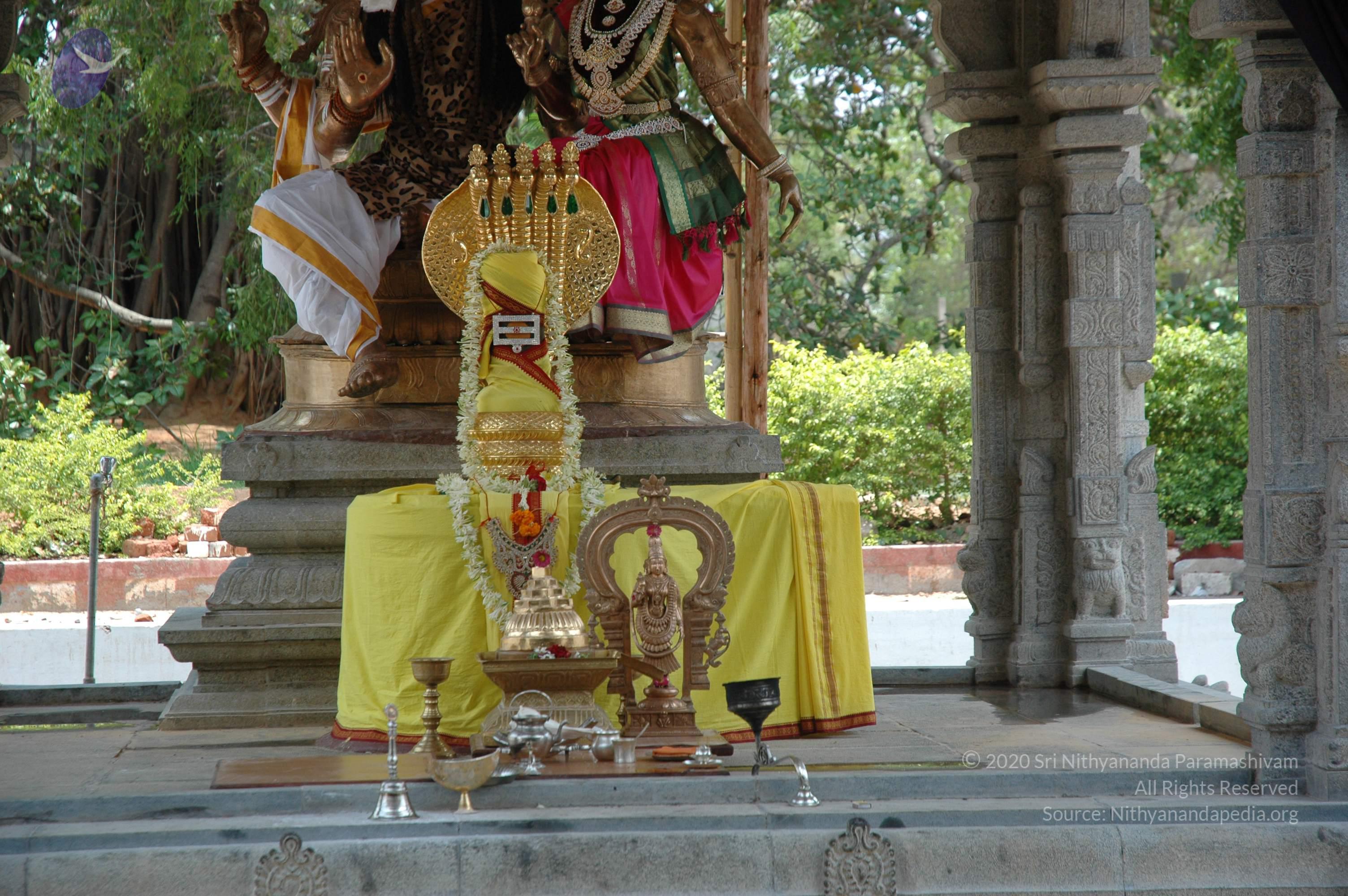 20070504_Photo_1005_DSC_4862_CMP_WM