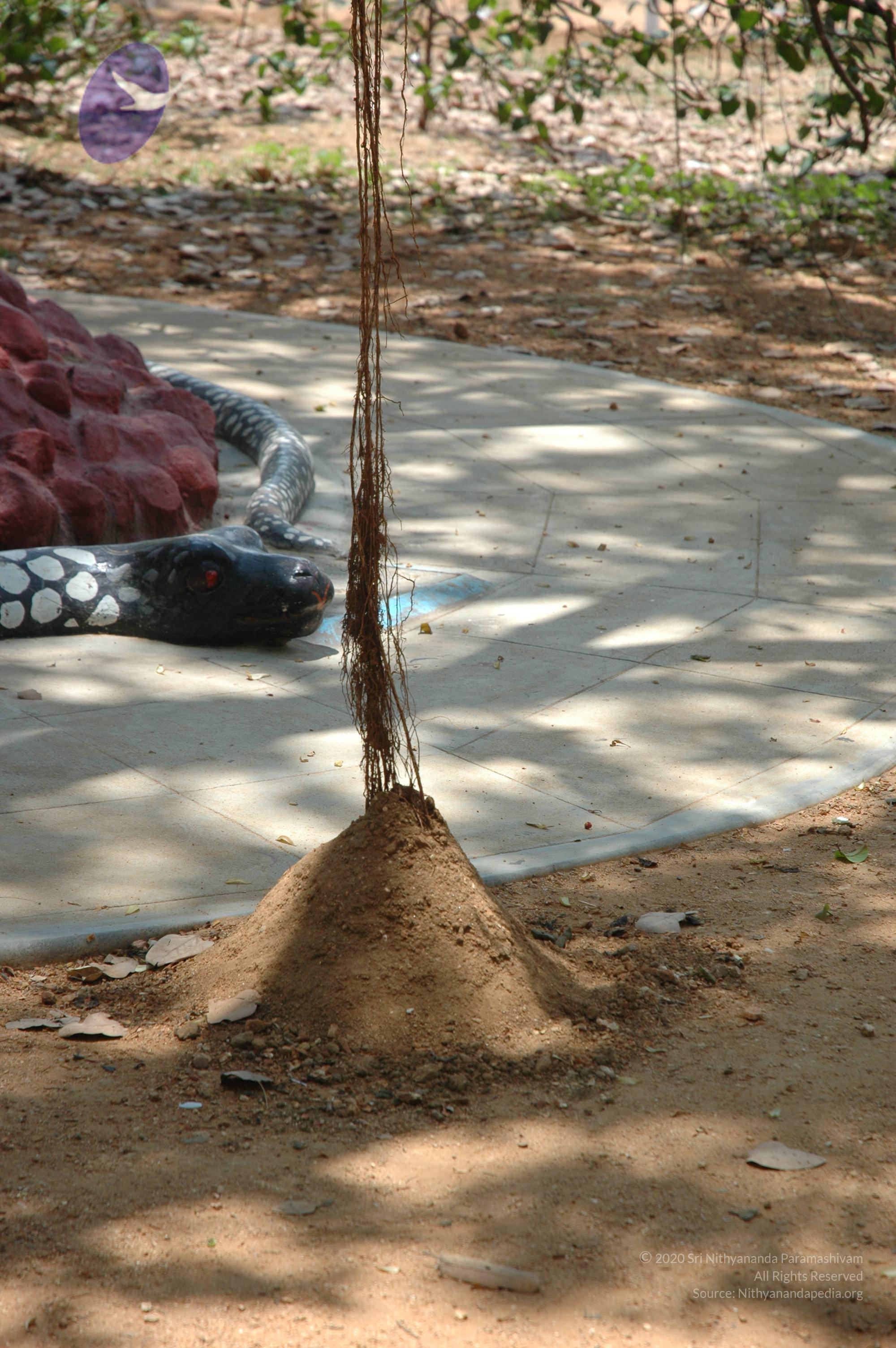 20070504_Photo_1004_DSC_4919_CMP_WM