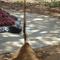 20070504_Photo_1004_DSC_4919_CMP_WM