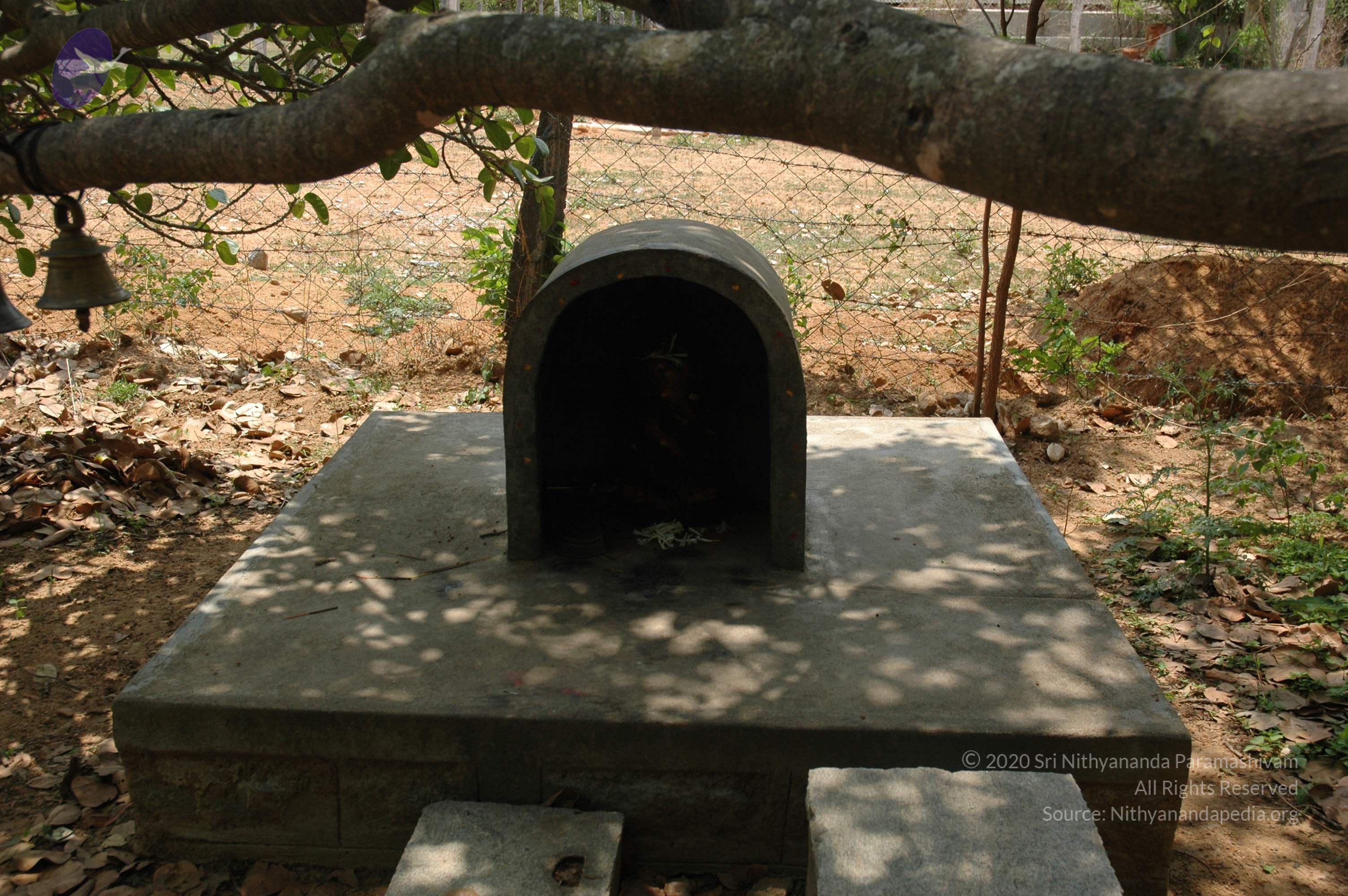 20070504_Photo_1012_DSC_5035_CMP_WM