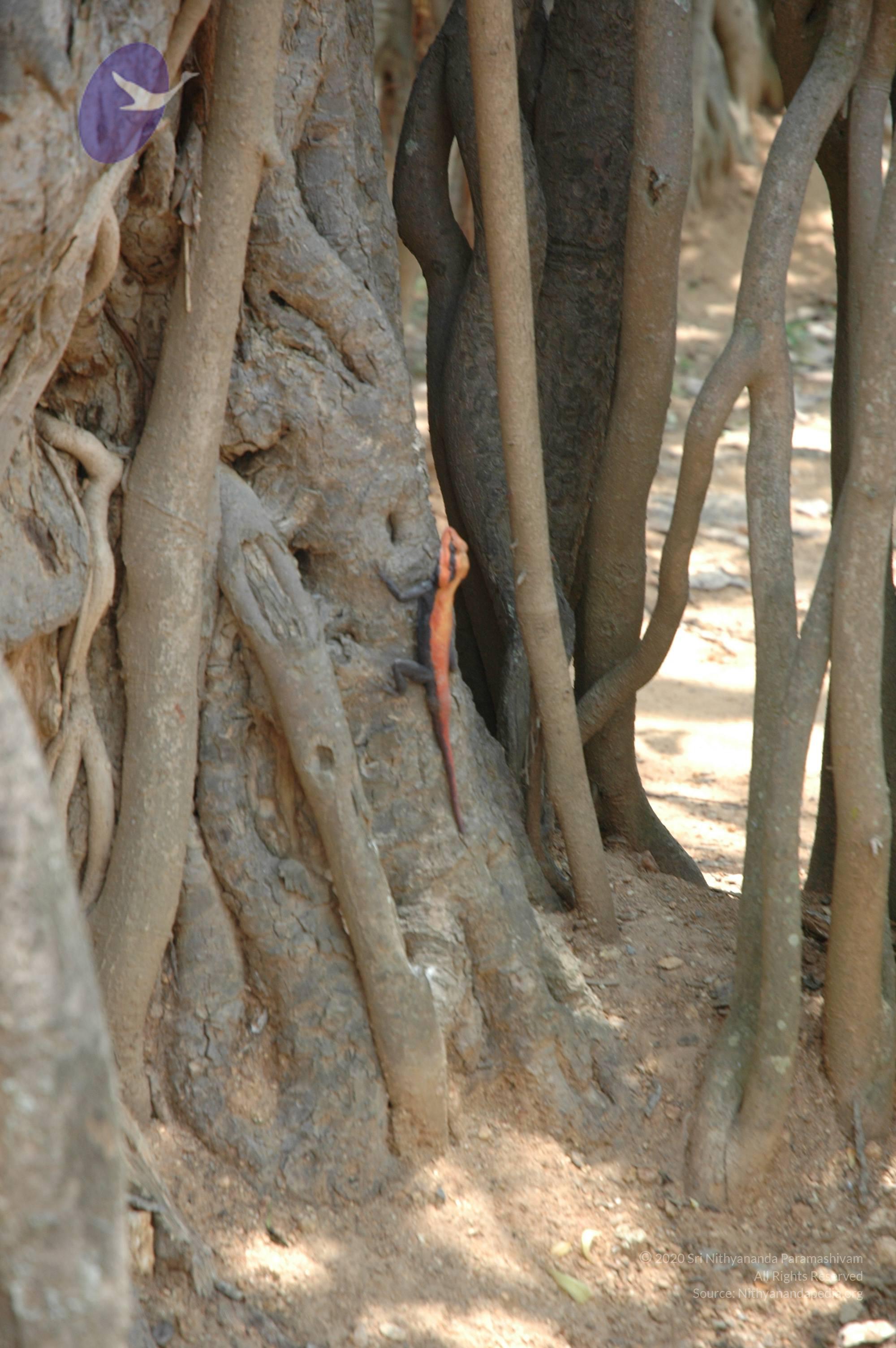 20070504_Photo_1017_DSC_4973_CMP_WM