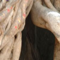 20070504_Photo_1028_DSC_5014_CMP_WM