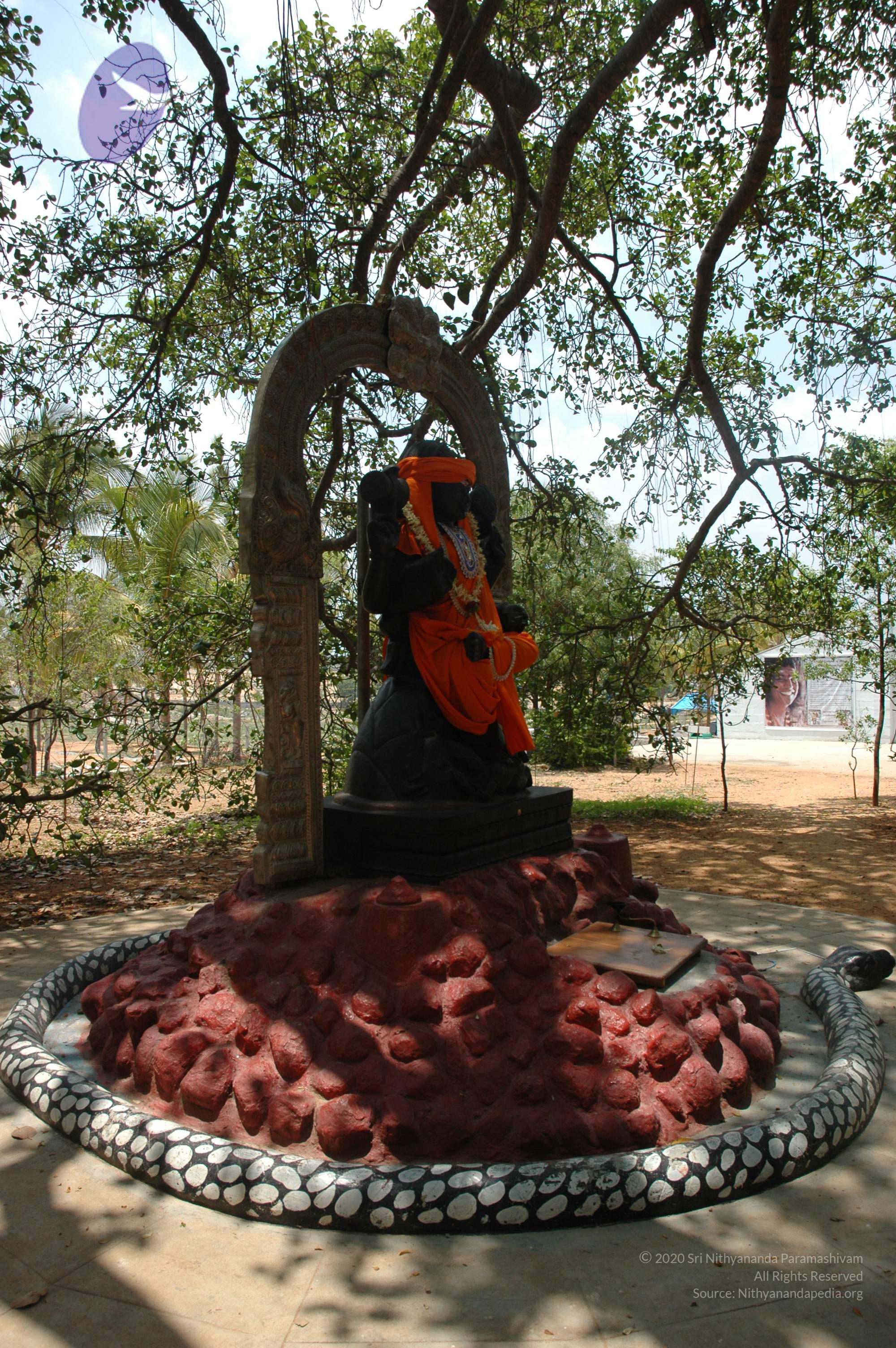 20070504_Photo_1032_DSC_4930_CMP_WM