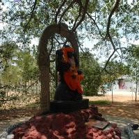 20070504_Photo_1032_DSC_4930_CMP_WM