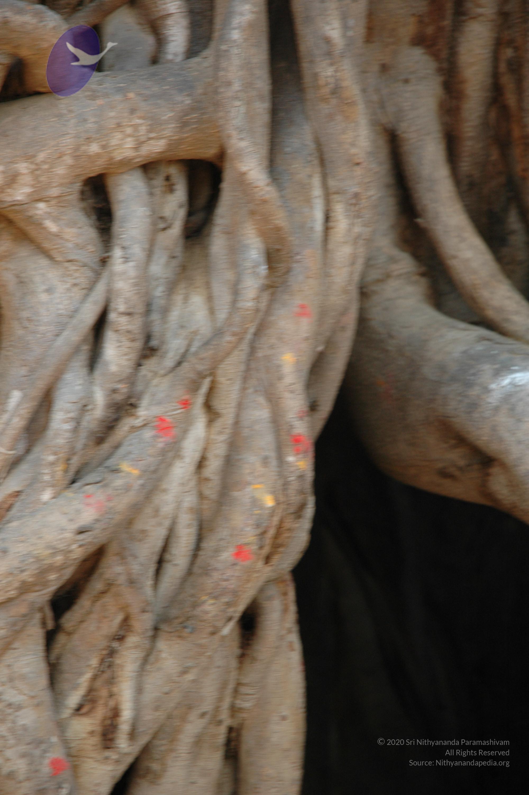 20070504_Photo_1036_DSC_4997_CMP_WM