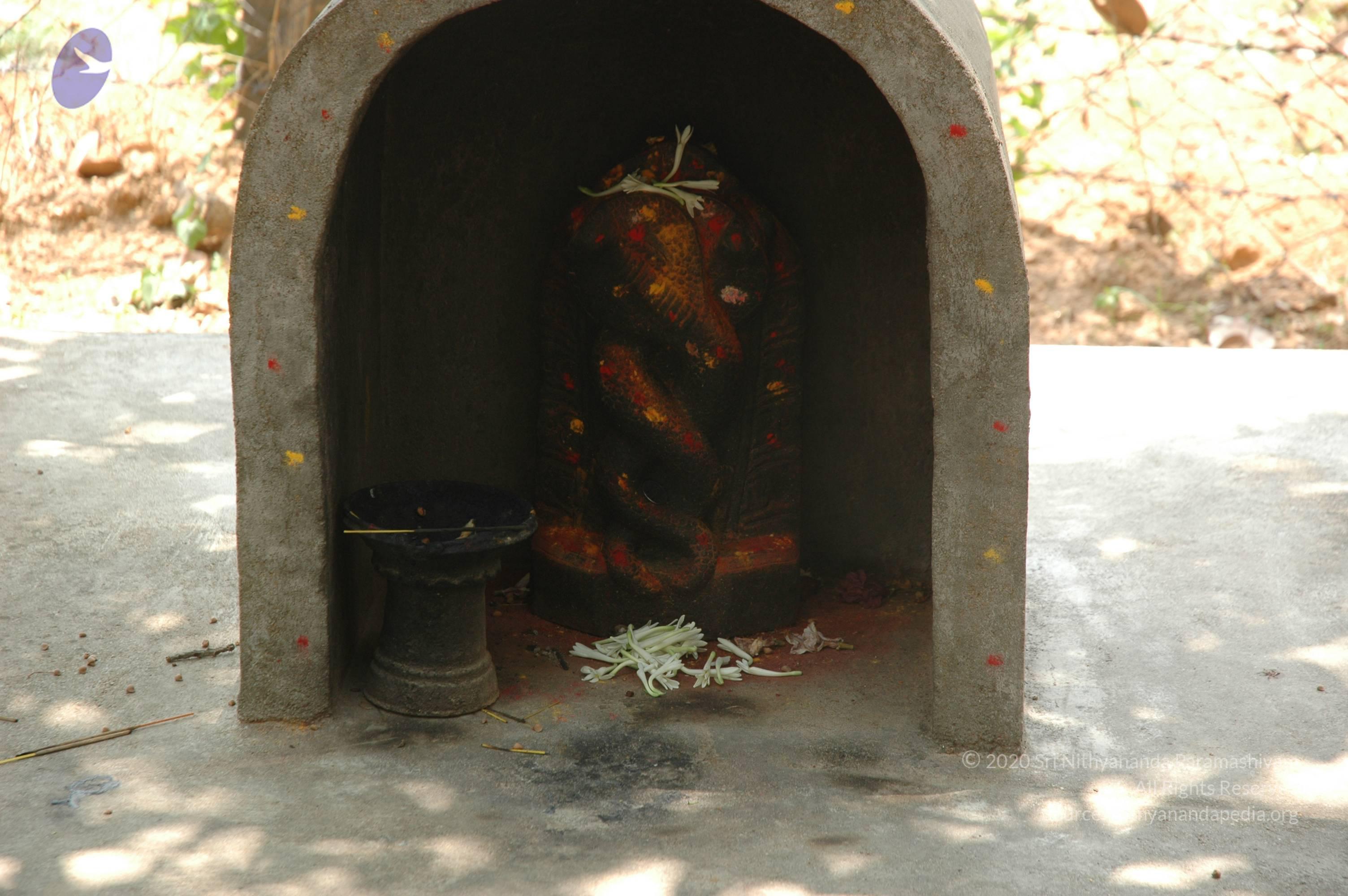 20070504_Photo_1045_DSC_5037_CMP_WM