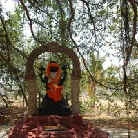 20070504_Photo_1047_DSC_4897_CMP_WM