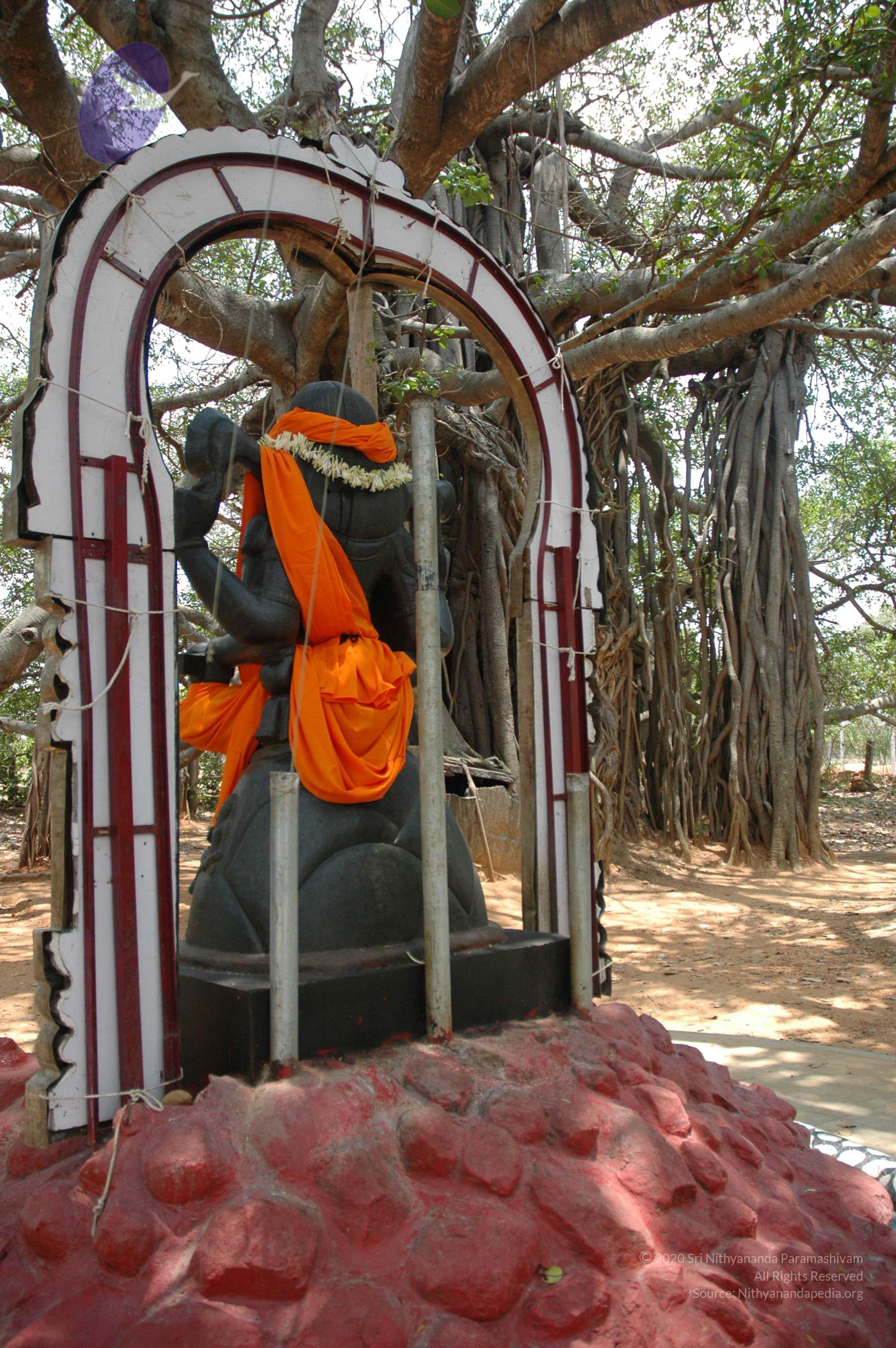 20070504_Photo_1059_DSC_4954_CMP_WM