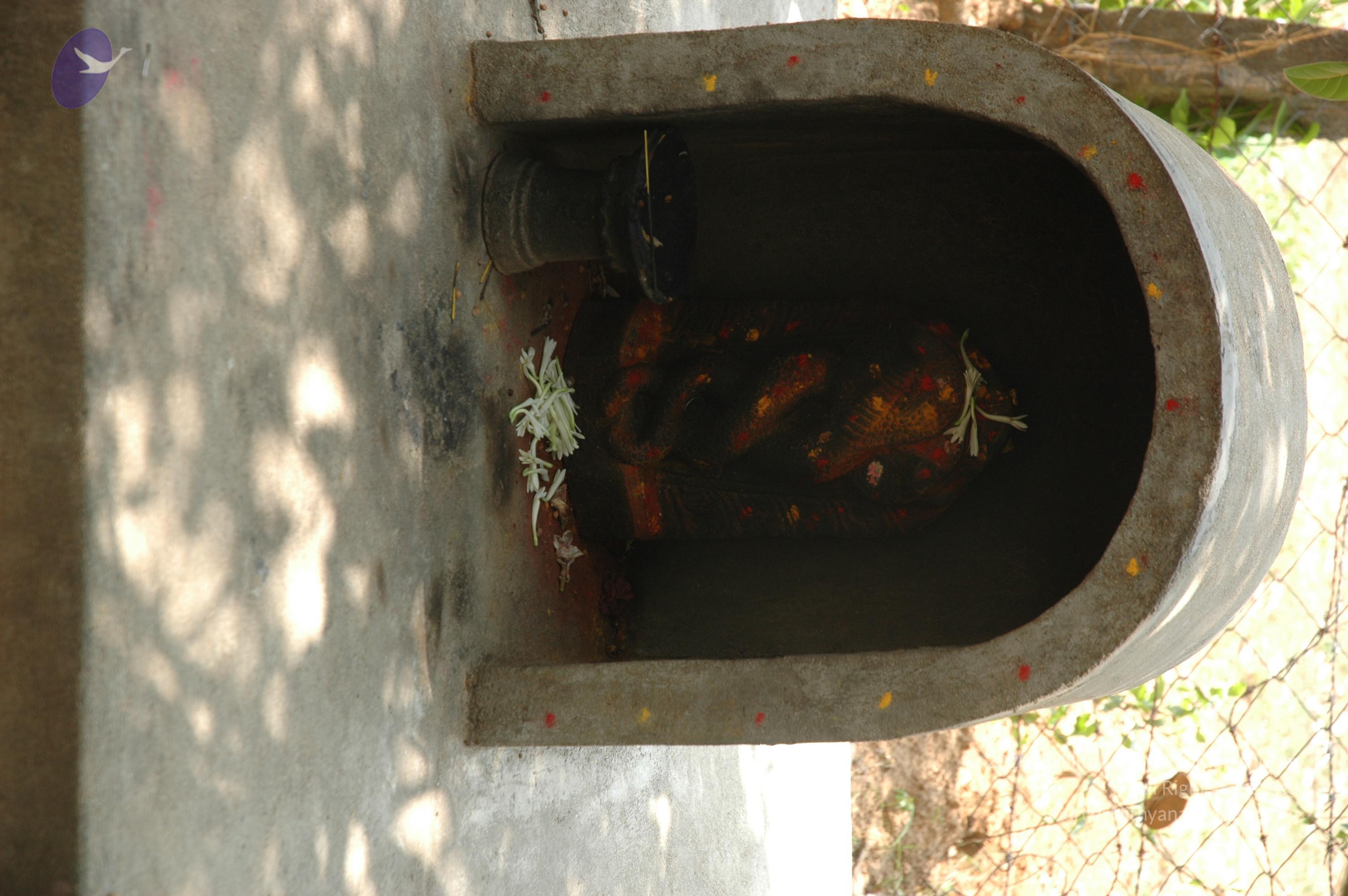 20070504_Photo_1063_DSC_5039_CMP_WM