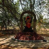 20070504_Photo_1072_DSC_4904_CMP_WM