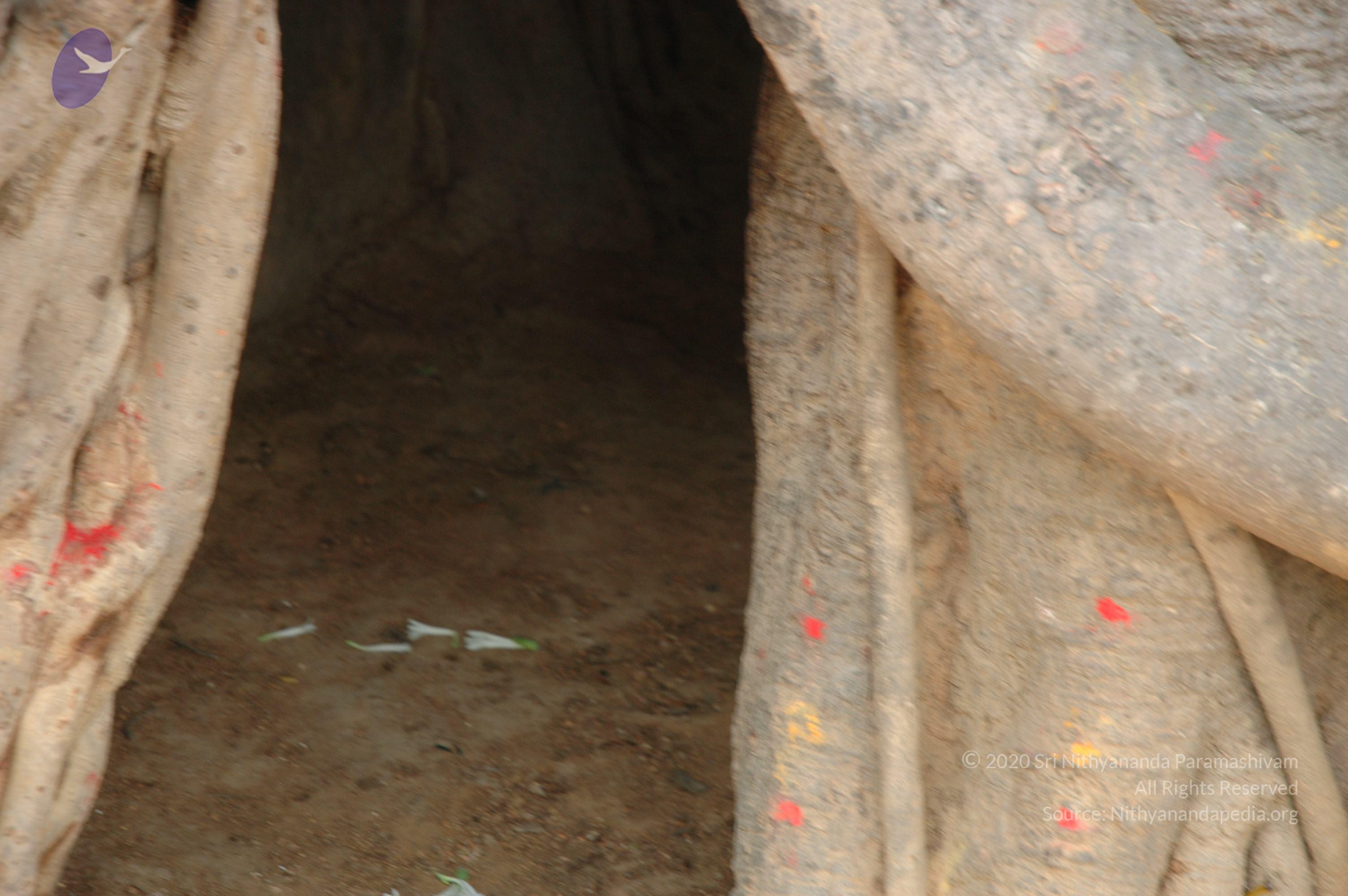 20070504_Photo_1073_DSC_5017_CMP_WM