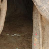 20070504_Photo_1073_DSC_5017_CMP_WM