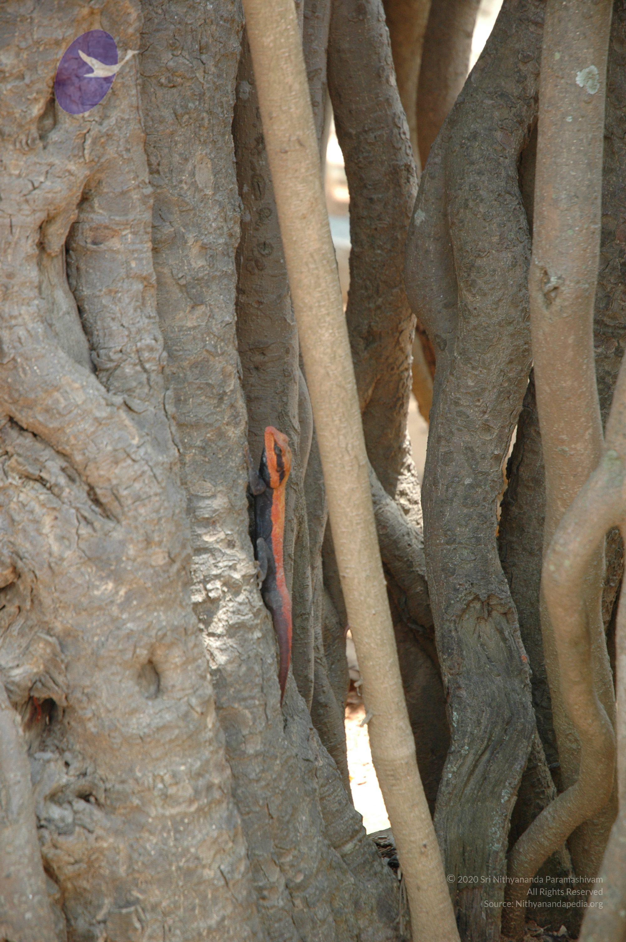 20070504_Photo_1075_DSC_4985_CMP_WM