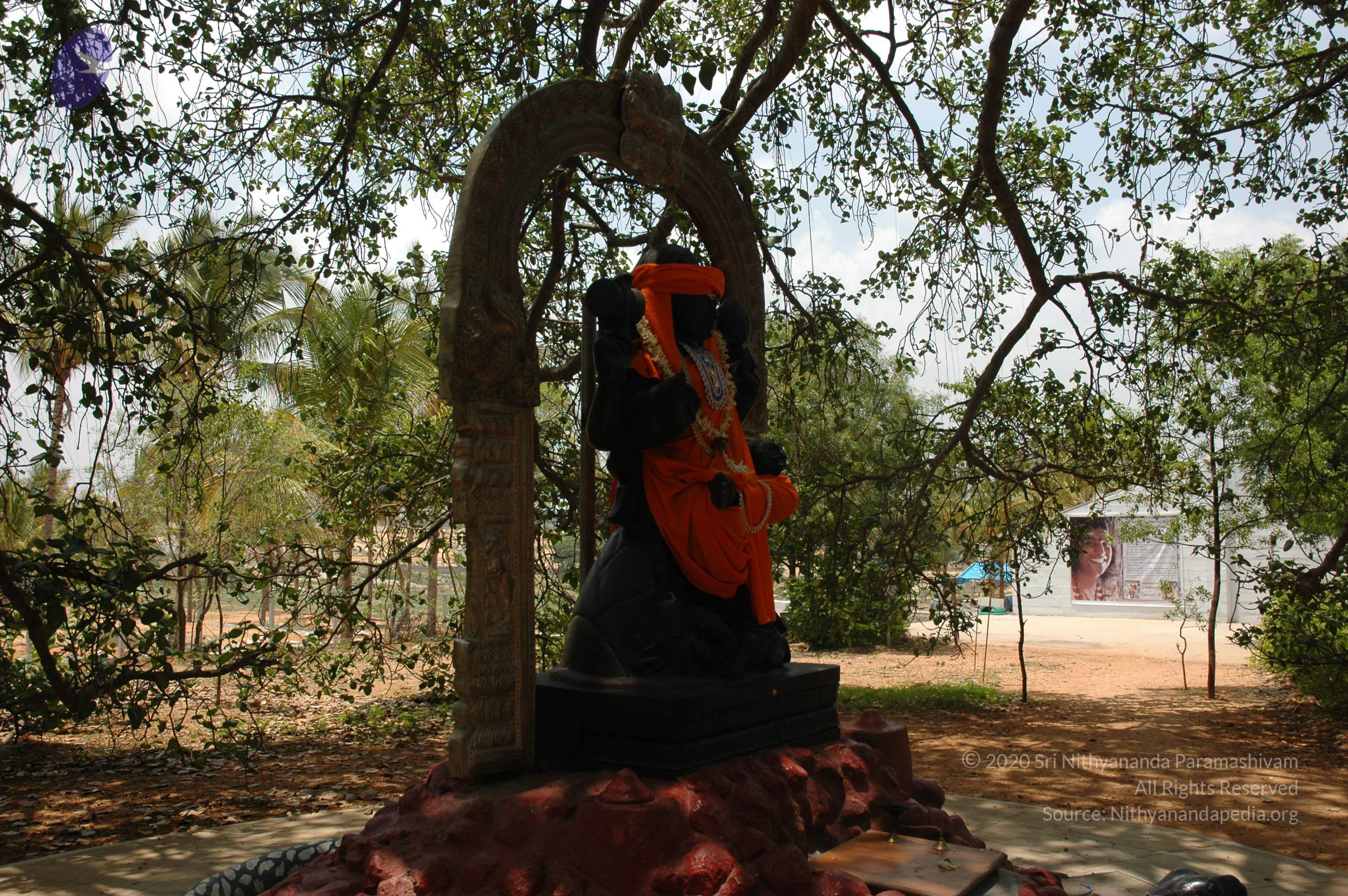 20070504_Photo_1080_DSC_4940_CMP_WM