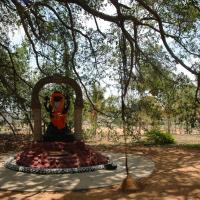 20070504_Photo_1090_DSC_4896_CMP_WM