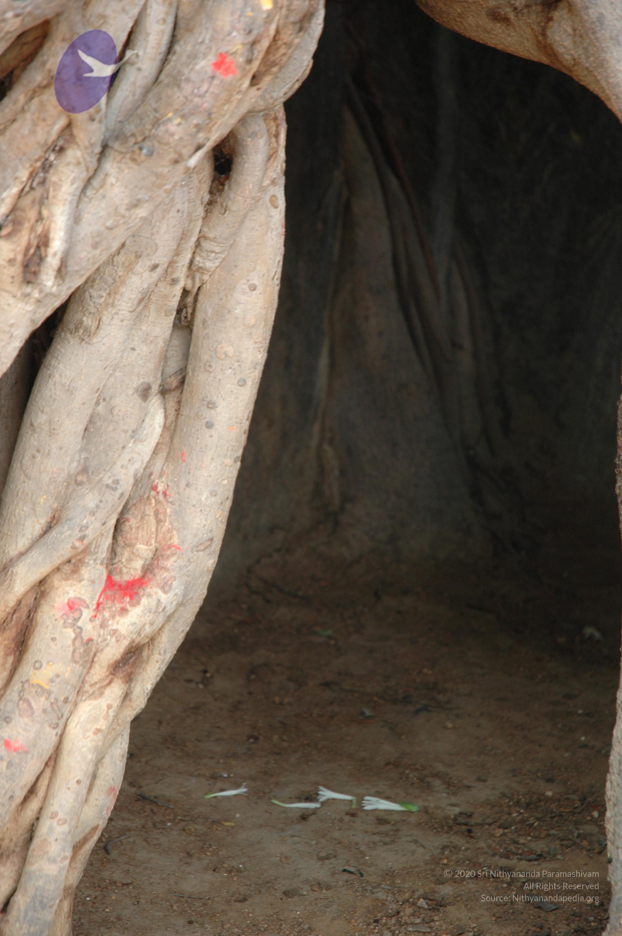 20070504_Photo_1093_DSC_5015_CMP_WM