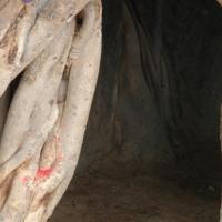 20070504_Photo_1093_DSC_5015_CMP_WM