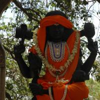 20070504_Photo_1094_DSC_4893_CMP_WM