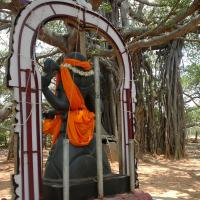 20070504_Photo_1096_DSC_4953_CMP_WM