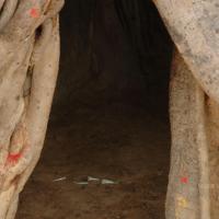 20070504_Photo_1101_DSC_5018_CMP_WM