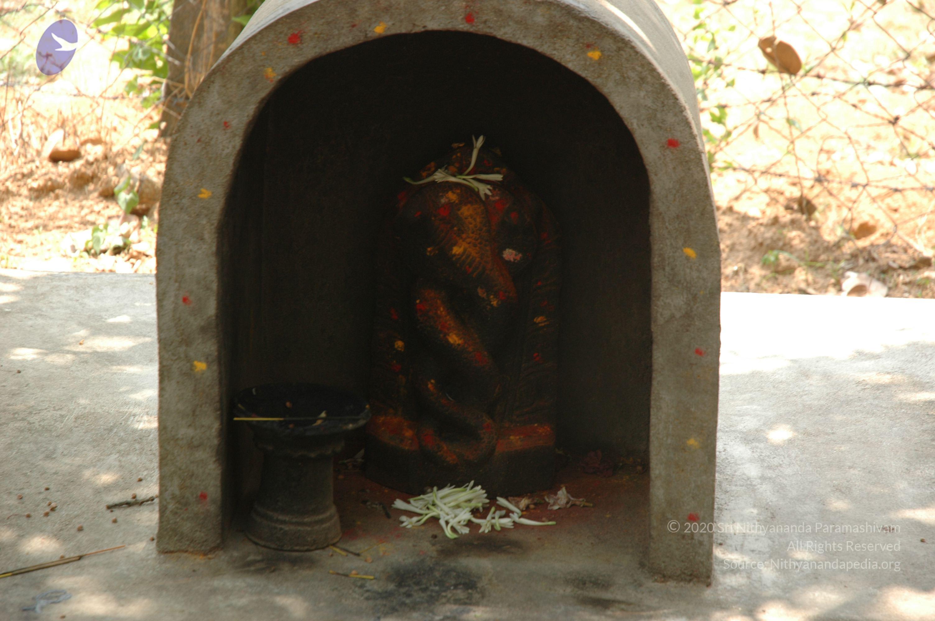 20070504_Photo_1104_DSC_5033_CMP_WM