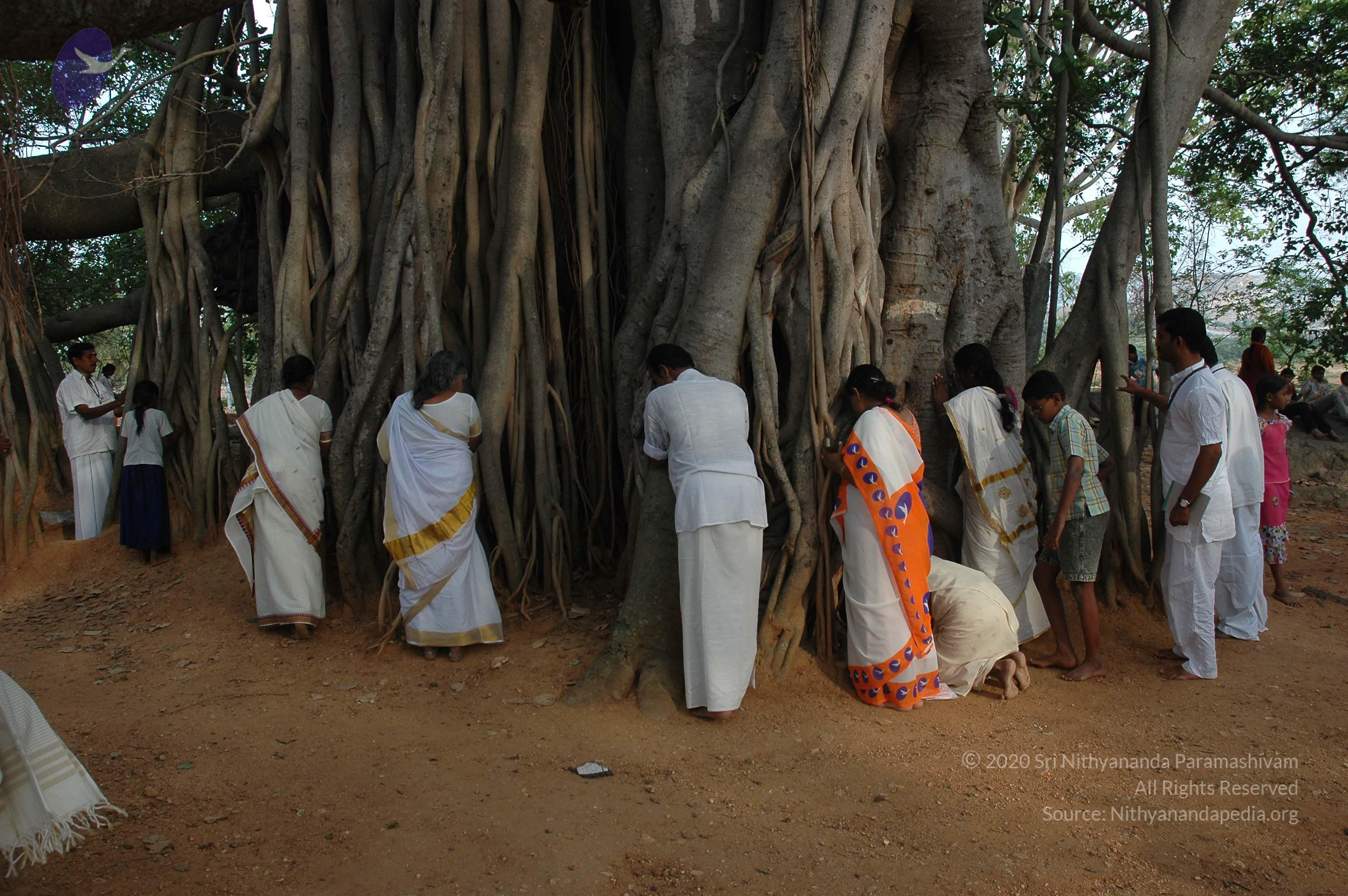 20070504_Photo_1044_DSC_5176_CMP_WM