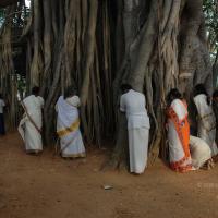 20070504_Photo_1044_DSC_5176_CMP_WM