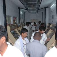 20070504_Photo_1100_DSC_5180_CMP_WM