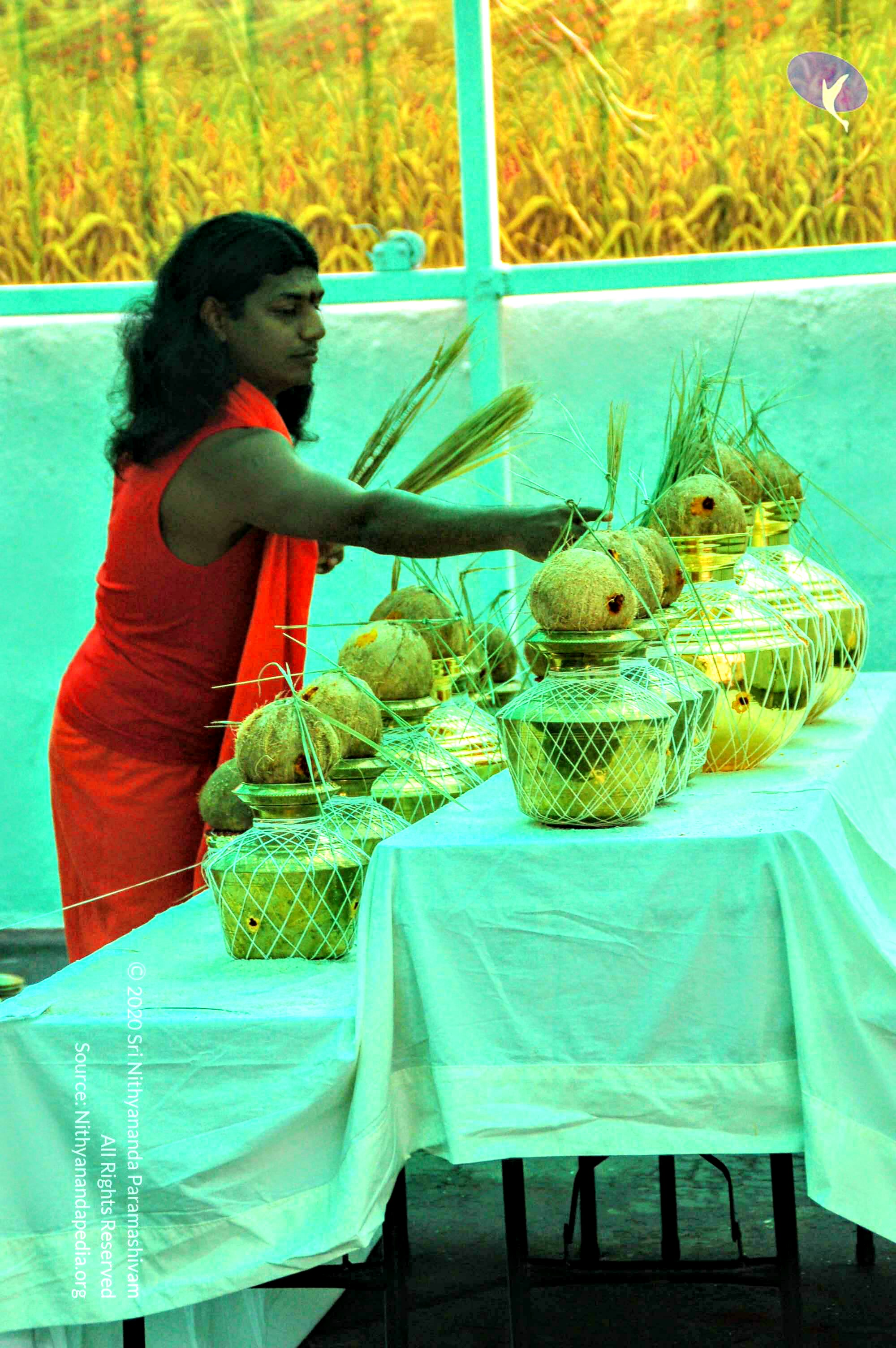 Homa07Nov2007 026_CMP_WM