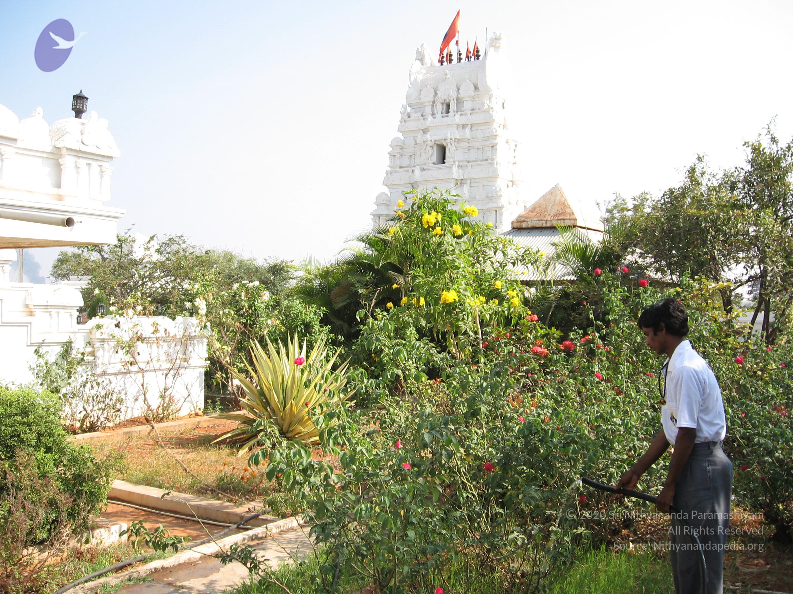 hydashram 218_CMP_WM