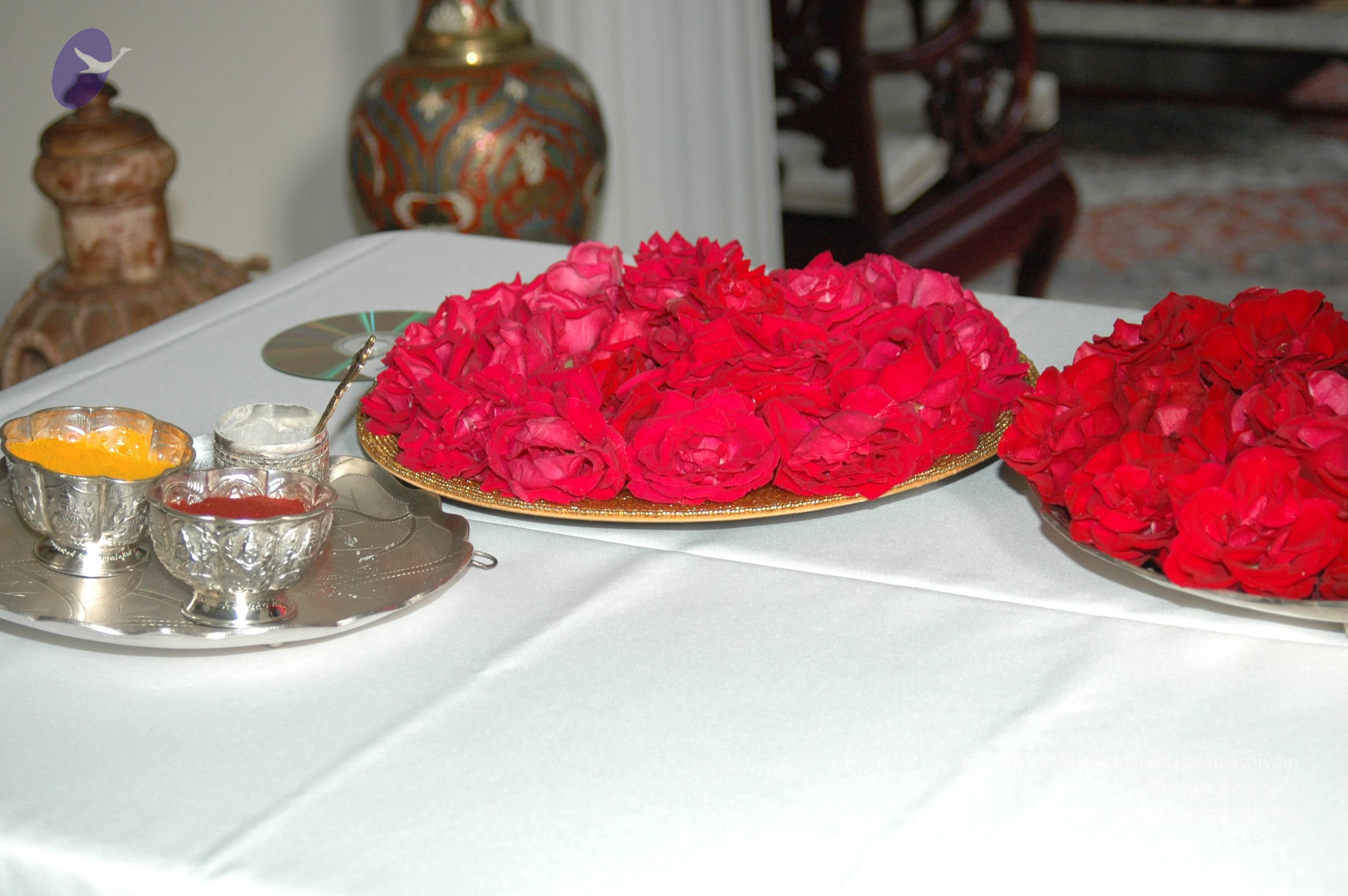 11May08_darshan_079_CMP_WM