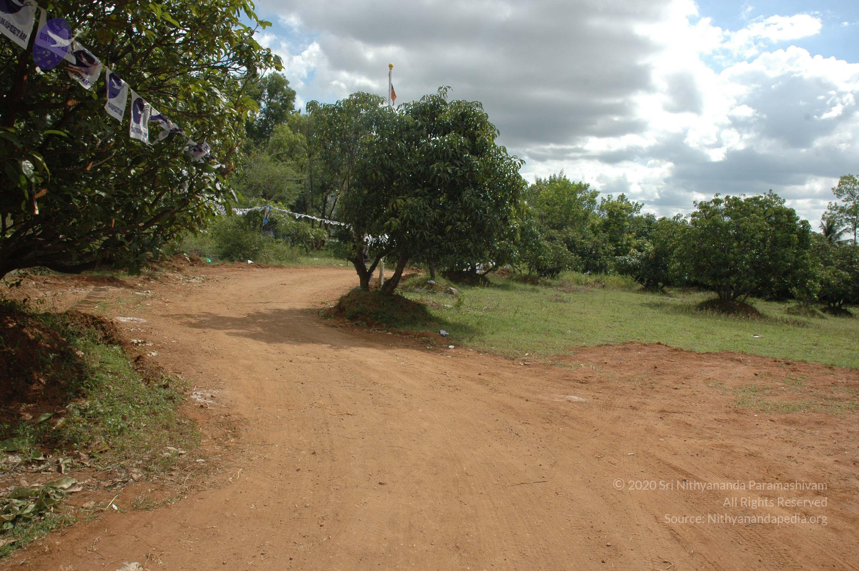 20081113_Photo_1008_DSC_7932_CMP_WM