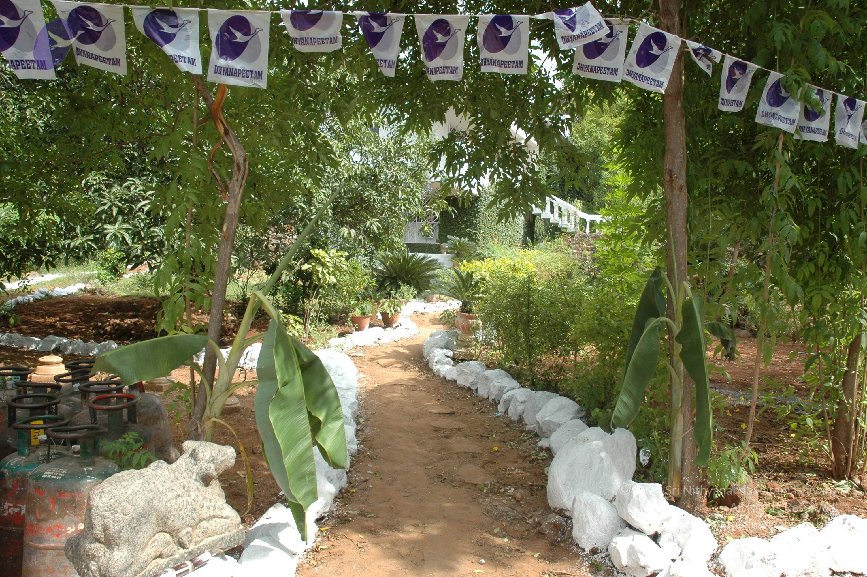 20081113_Photo_1017_DSC_7938_CMP_WM