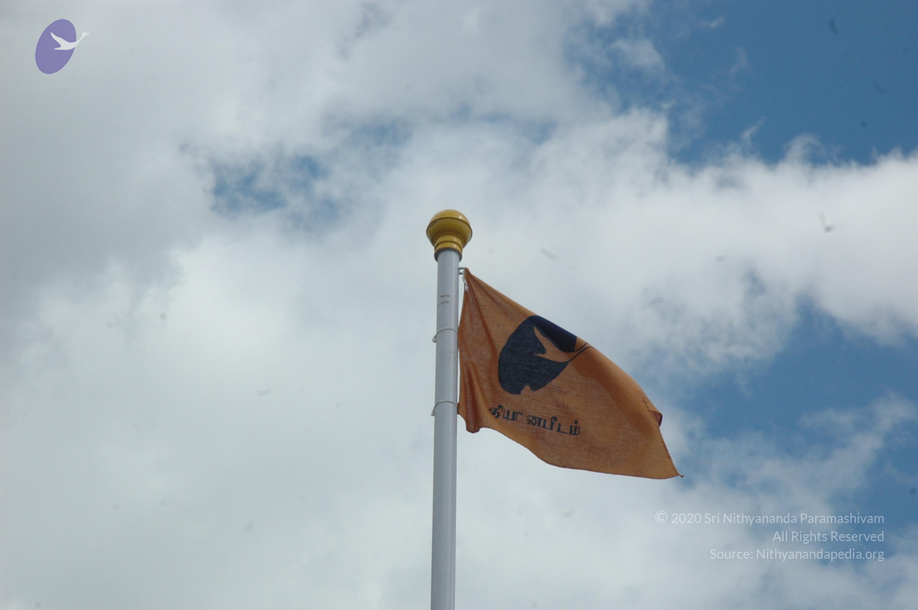 20081113_Photo_1021_DSC_7916_CMP_WM