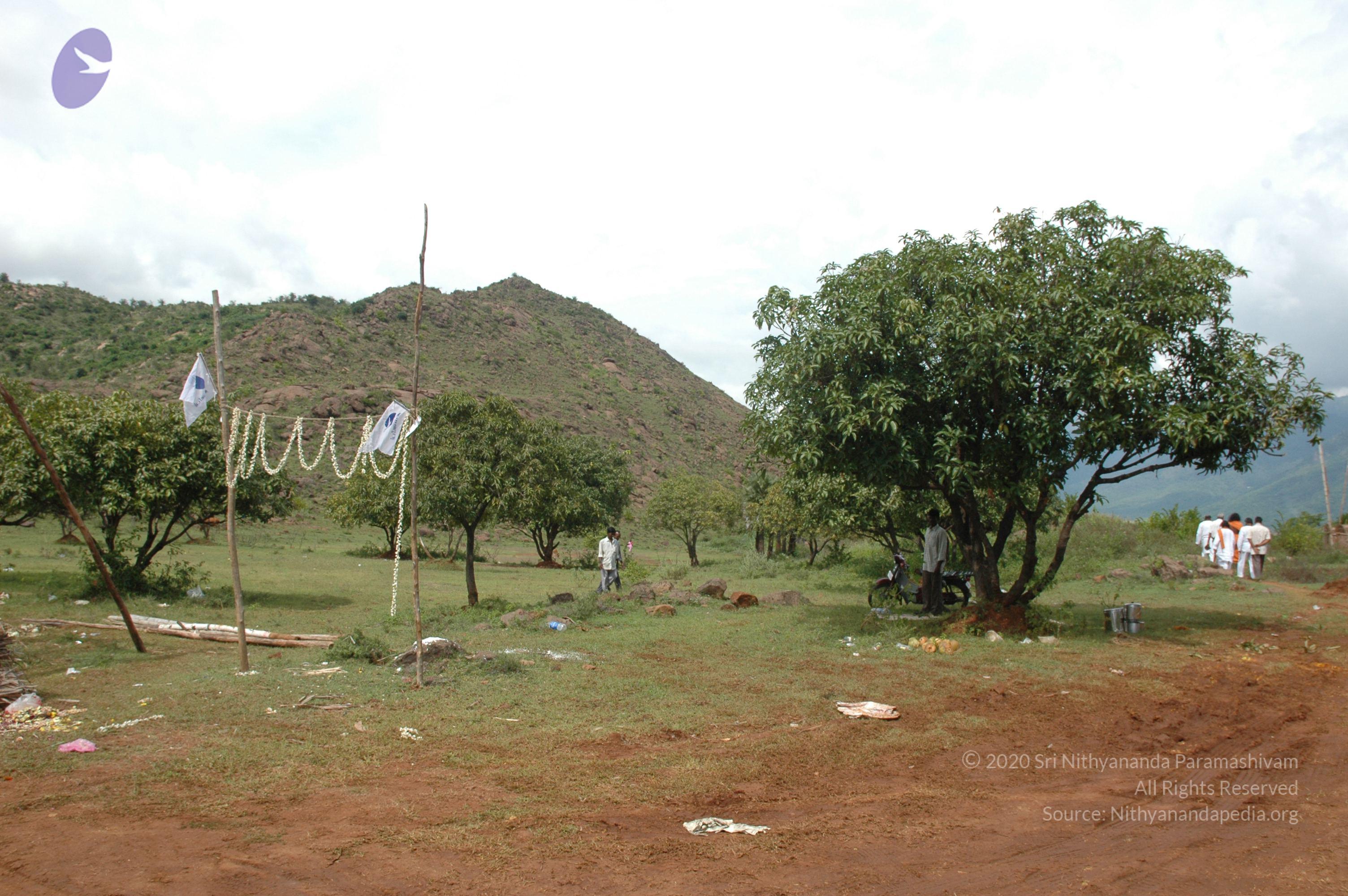 20081113_Photo_1025_DSC_7880_CMP_WM