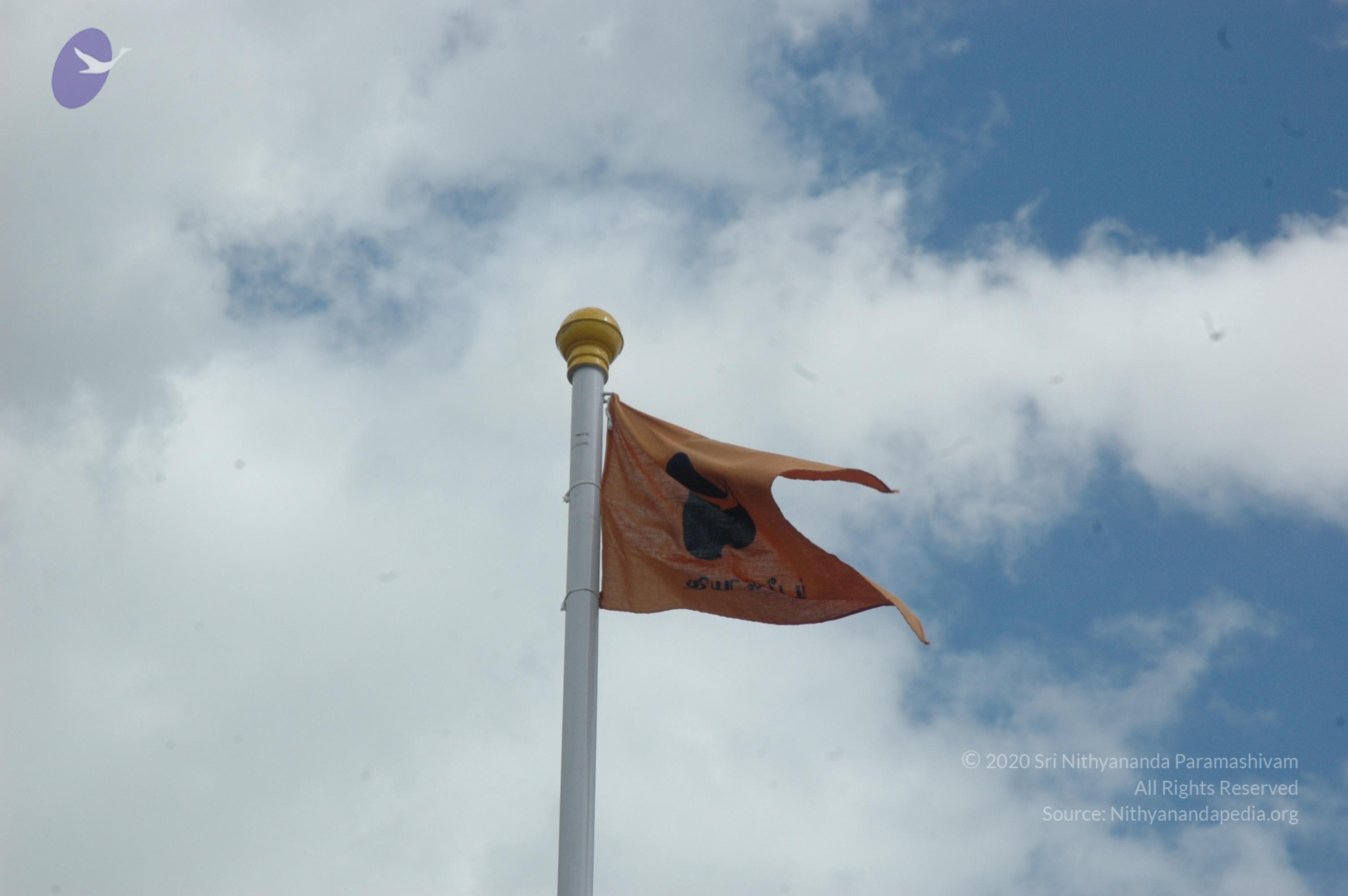 20081113_Photo_1028_DSC_7915_CMP_WM