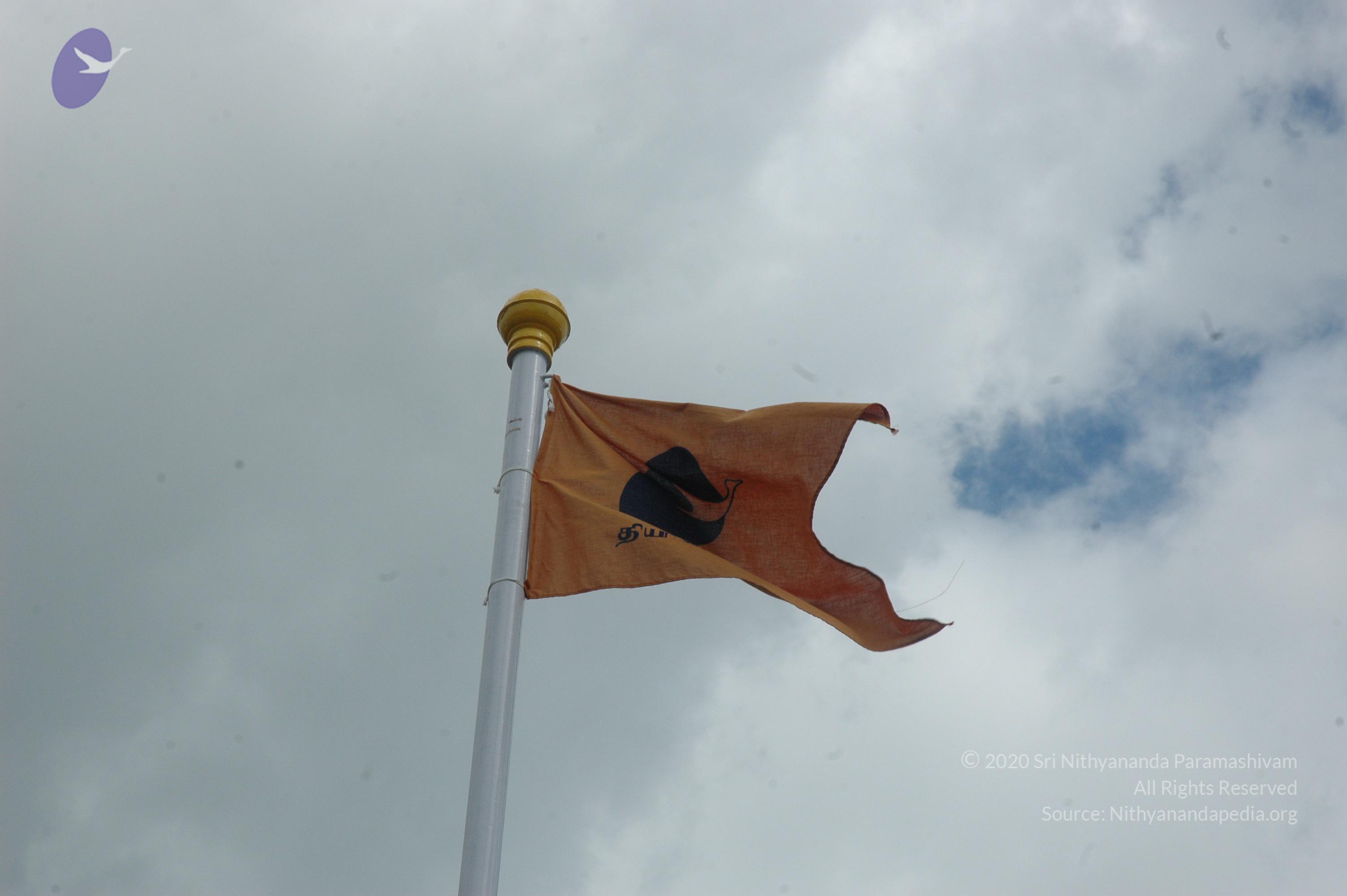 20081113_Photo_1032_DSC_7918_CMP_WM